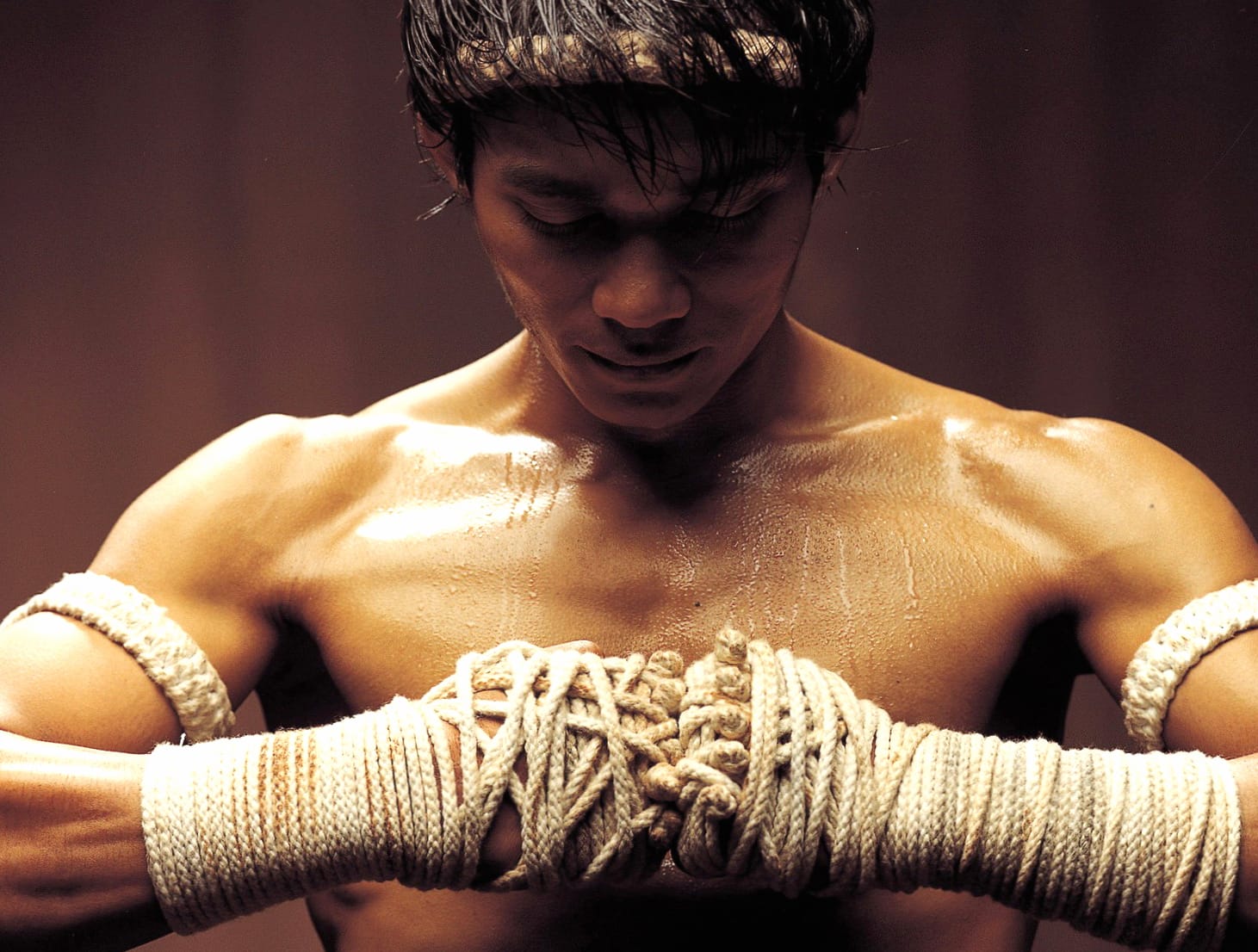 Strength and Focus Martial Arts wallpapers HD quality