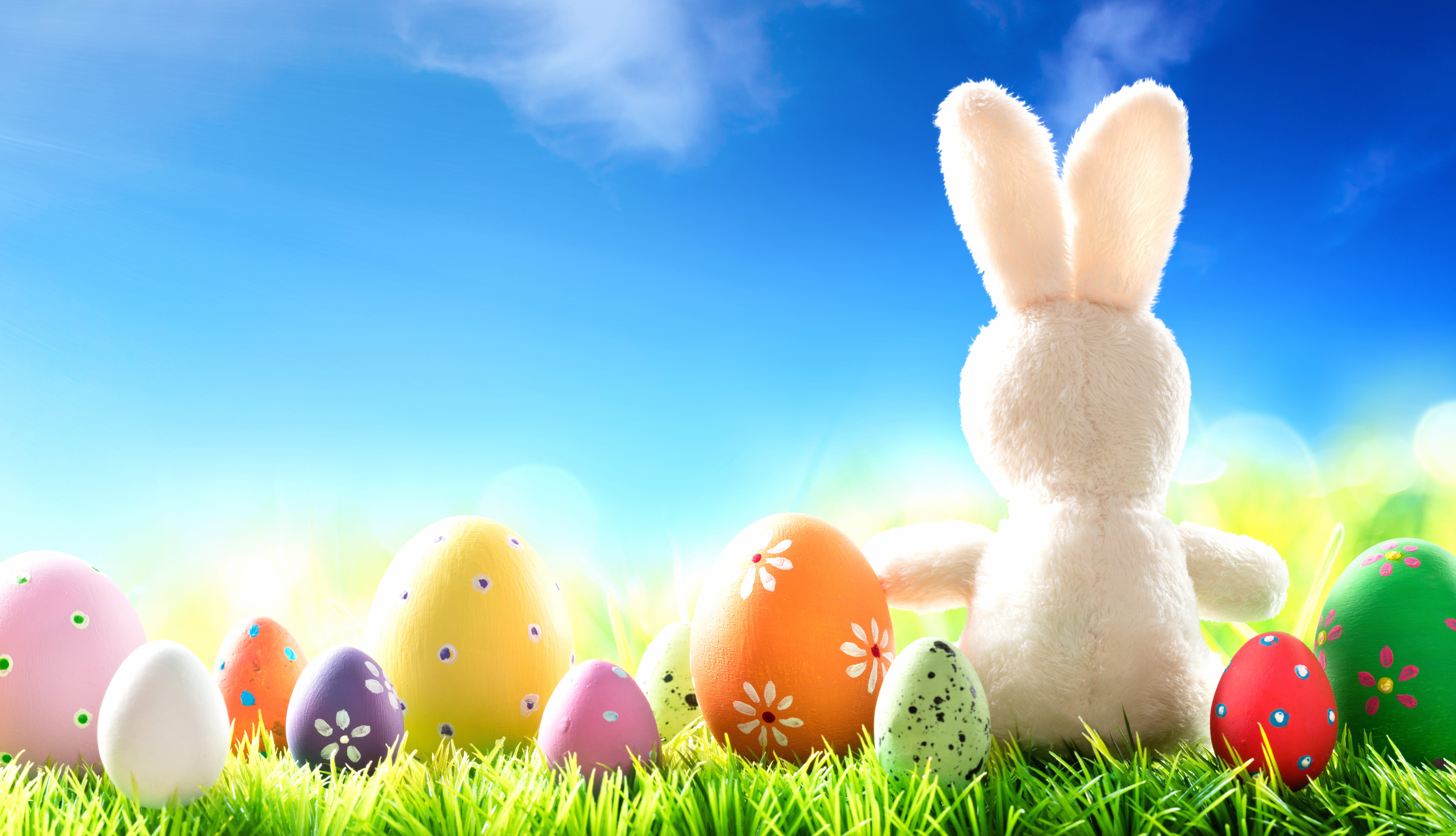 Stuffed Animal Easter Egg Holiday Easter 8k Ultra wallpapers HD quality