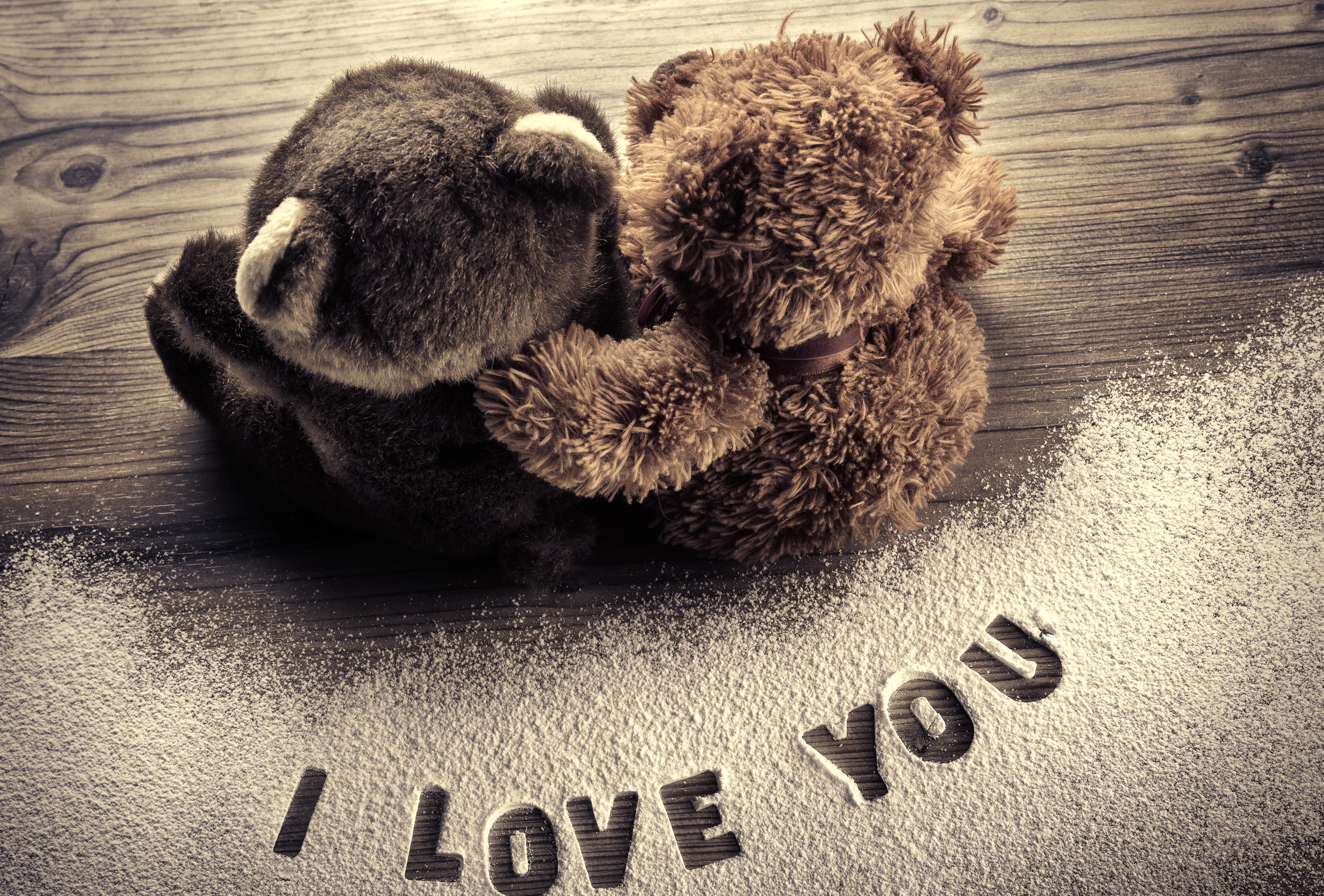 Stuffed Animal Teddy Bear Photography Love wallpapers HD quality