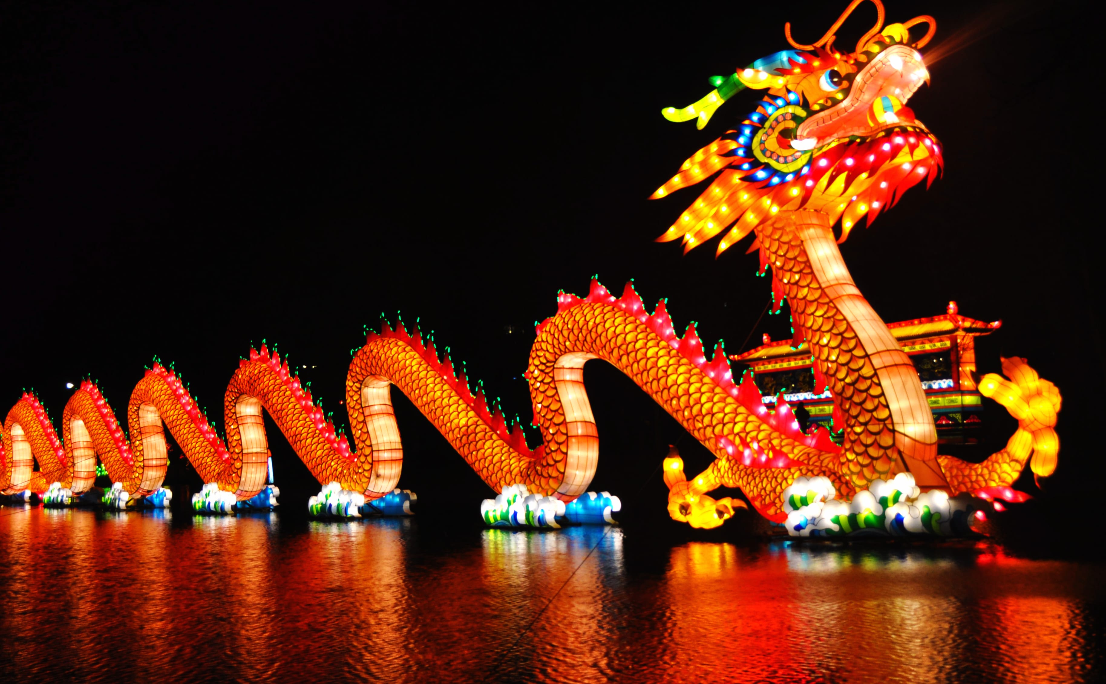 Stunning of a Festive Chinese New Year Dragon wallpapers HD quality