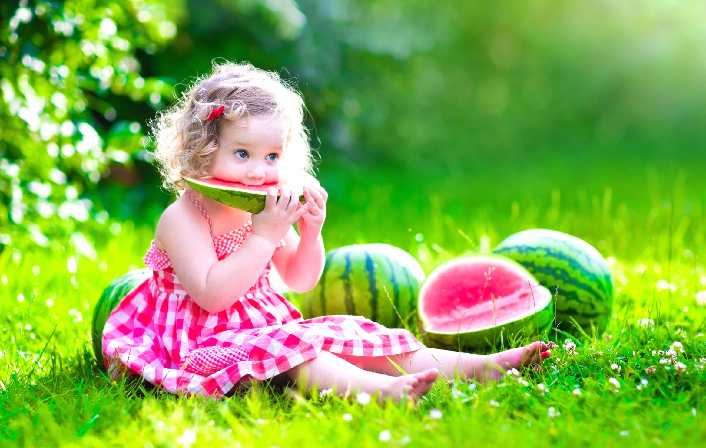 Summer Delight A Little Girl Enjoying Watermelon in a Sunny at 320 x 480 iPhone size wallpapers HD quality