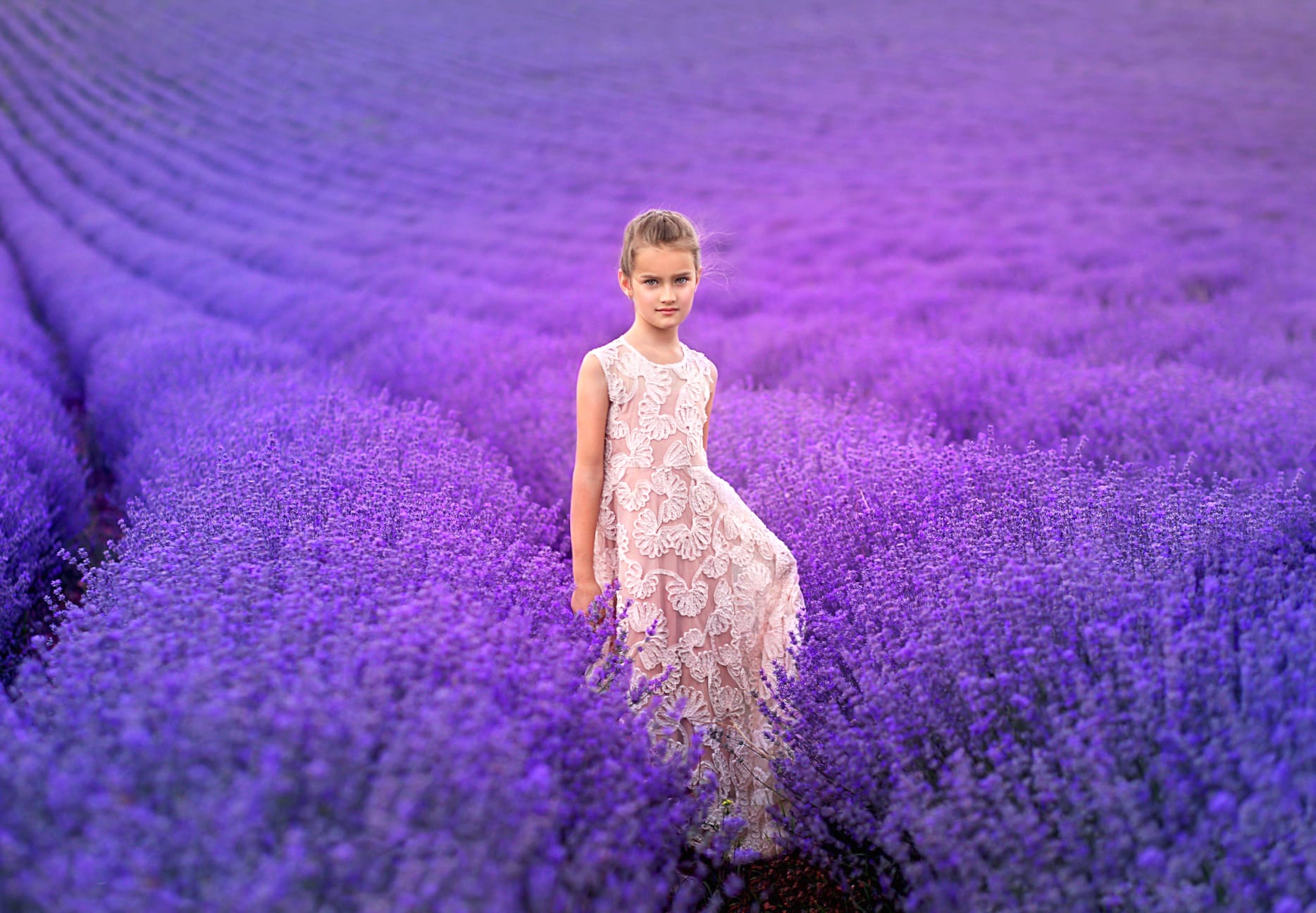 Summer Field White Dress Purple Flower Lavender Photography Child wallpapers HD quality