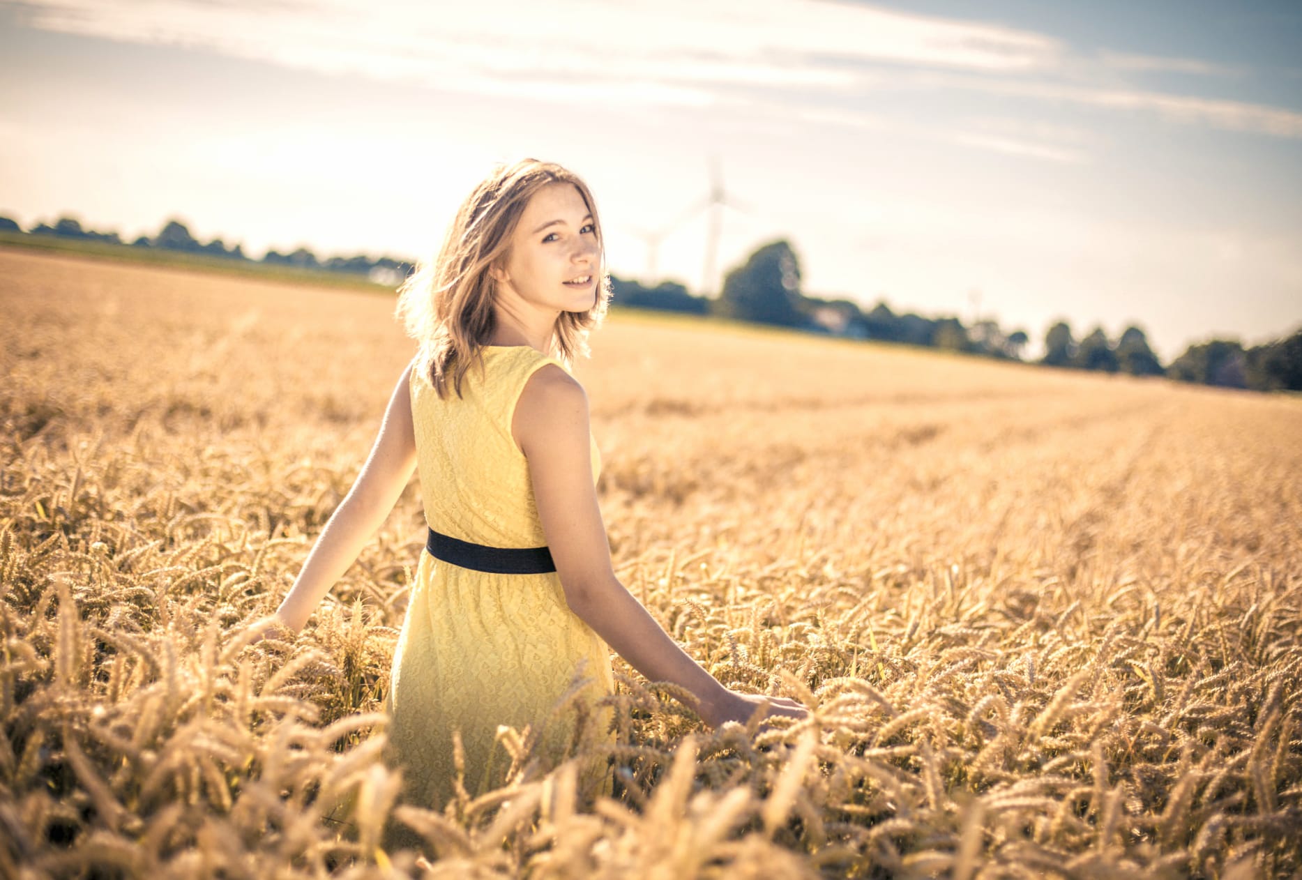 Summer Radiance in Wheat Field - wallpapers HD quality