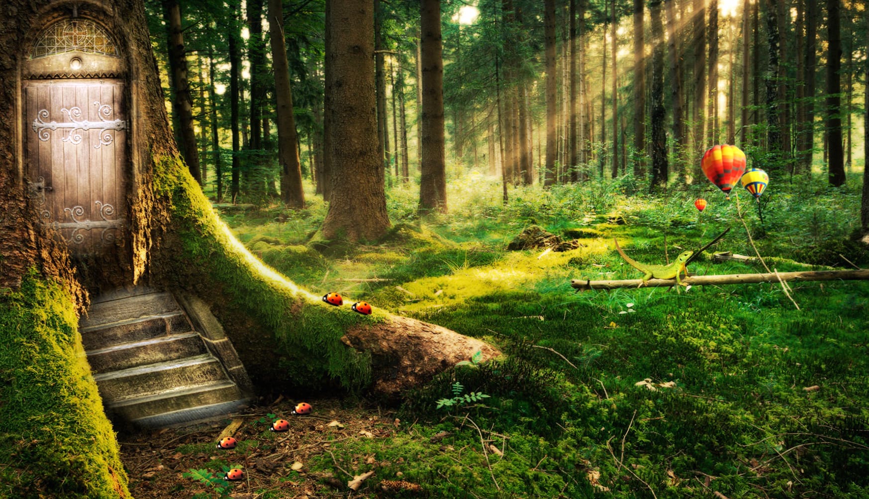 Sunbeam Fantasy Enchanted Forest wallpapers HD quality