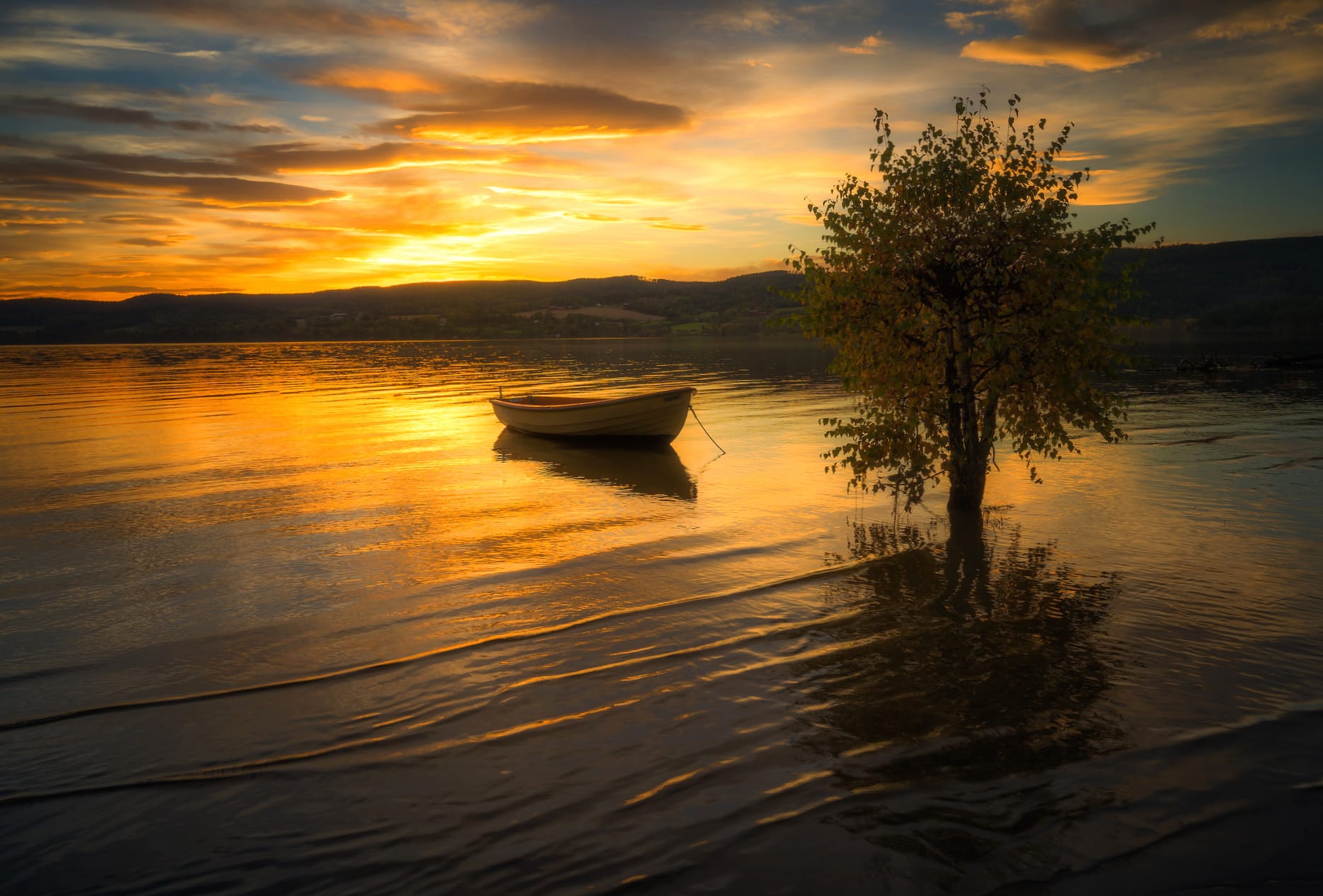 Sunset Boat Lonely Tree Photography Lake at 2560 x 1440 HD size wallpapers HD quality