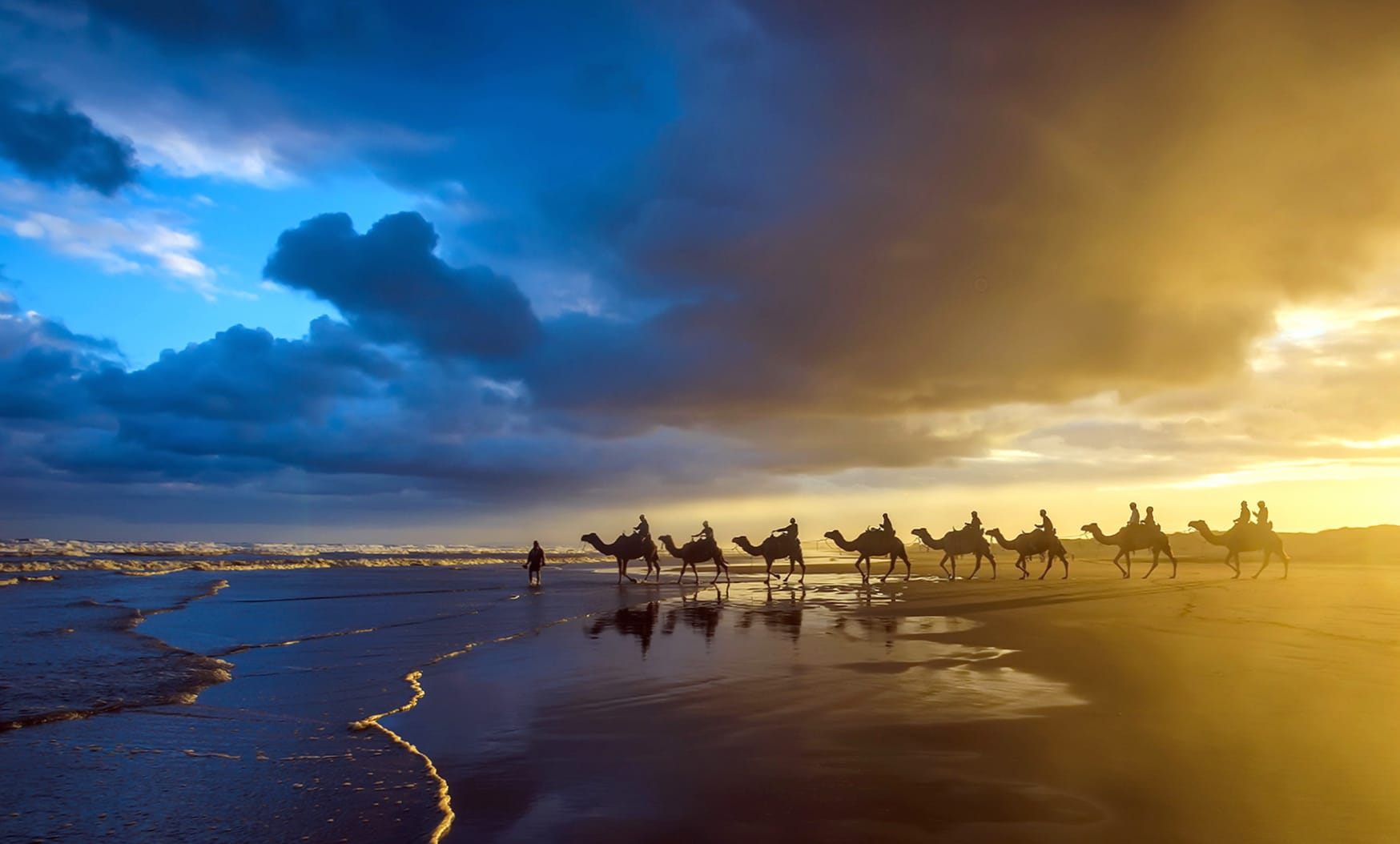 Sunset Caravan A Serene of Camels on the Beach wallpapers HD quality