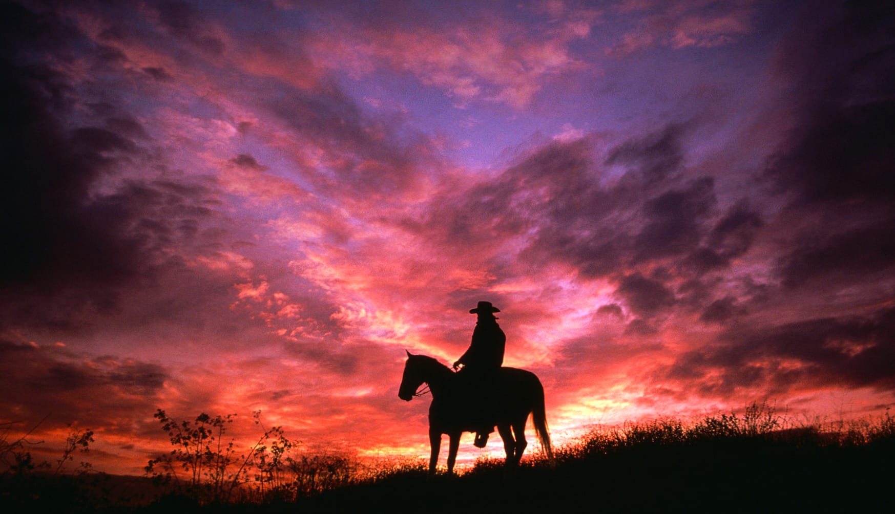 Sunset Cowboy Silhouette - in Purple and Pink Skies at 1920 x 1080 HD size wallpapers HD quality