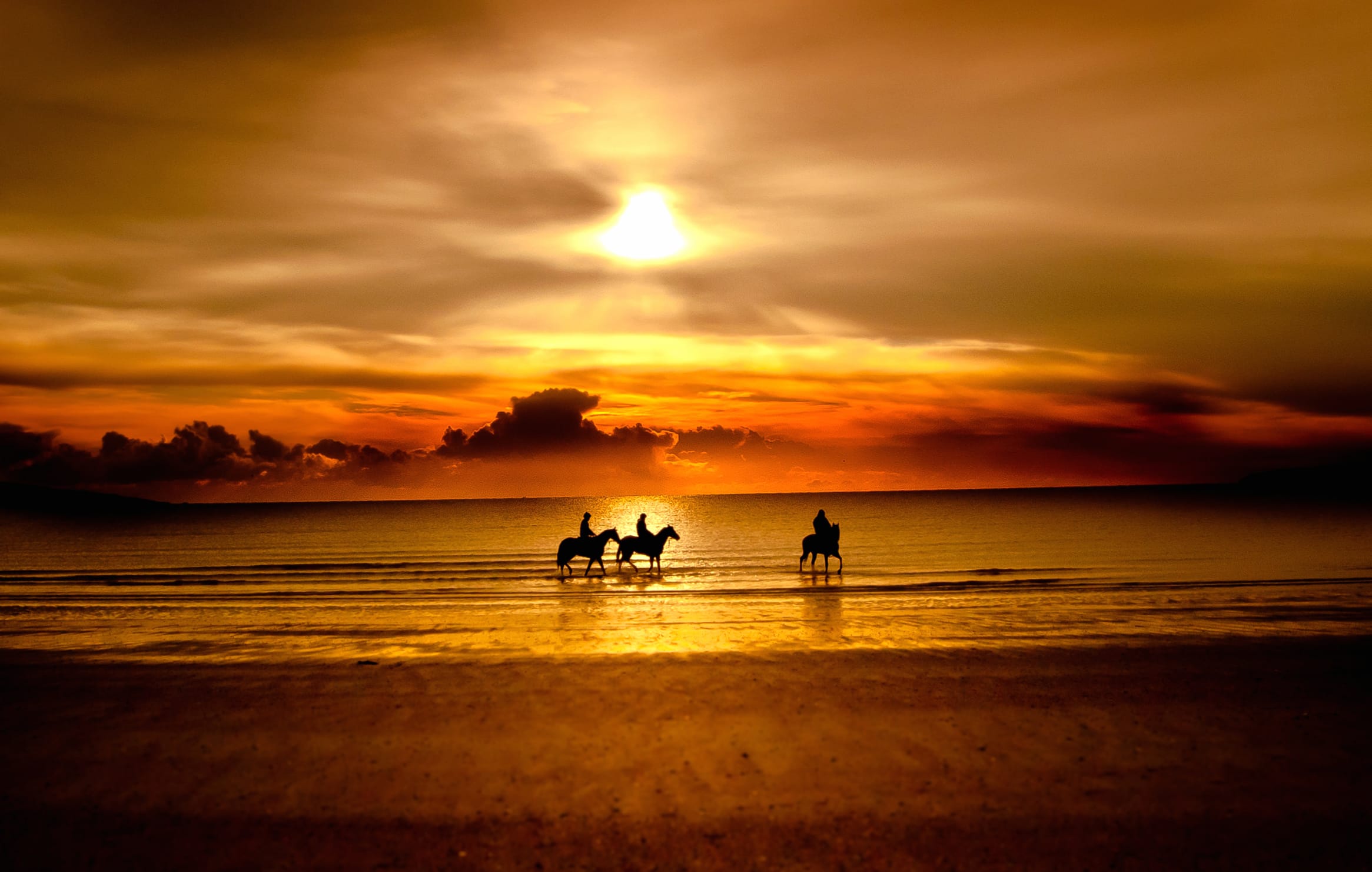 Sunset Riders HD Horse Silhouette Wallpaper wallpapers HD quality