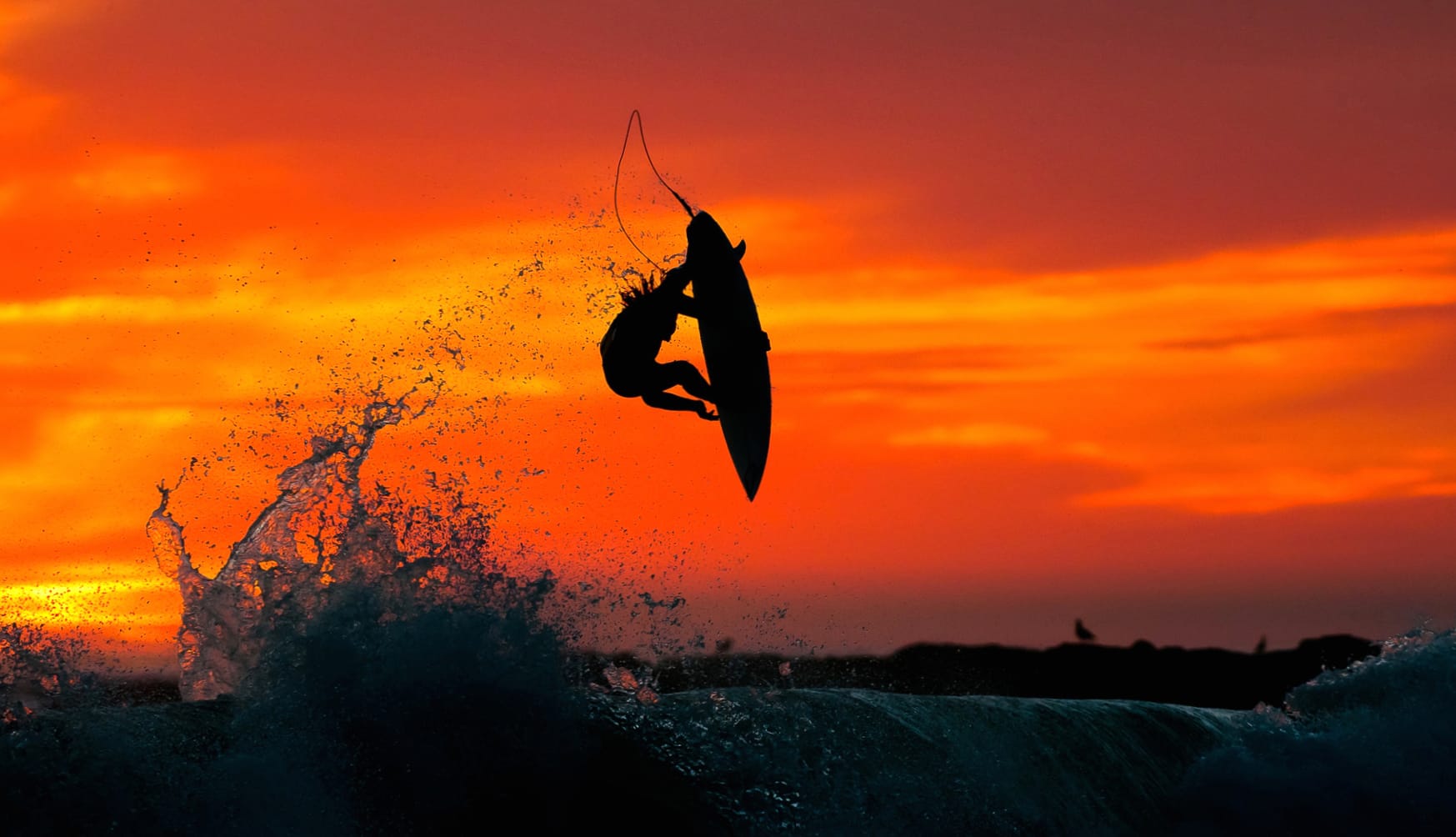 Sunset Surfing wallpapers HD quality