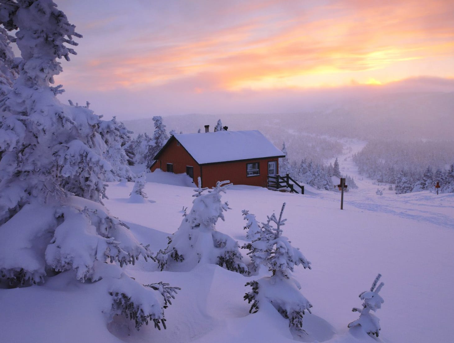 Swedish Winter Wonderland at 2560 x 1440 HD size wallpapers HD quality