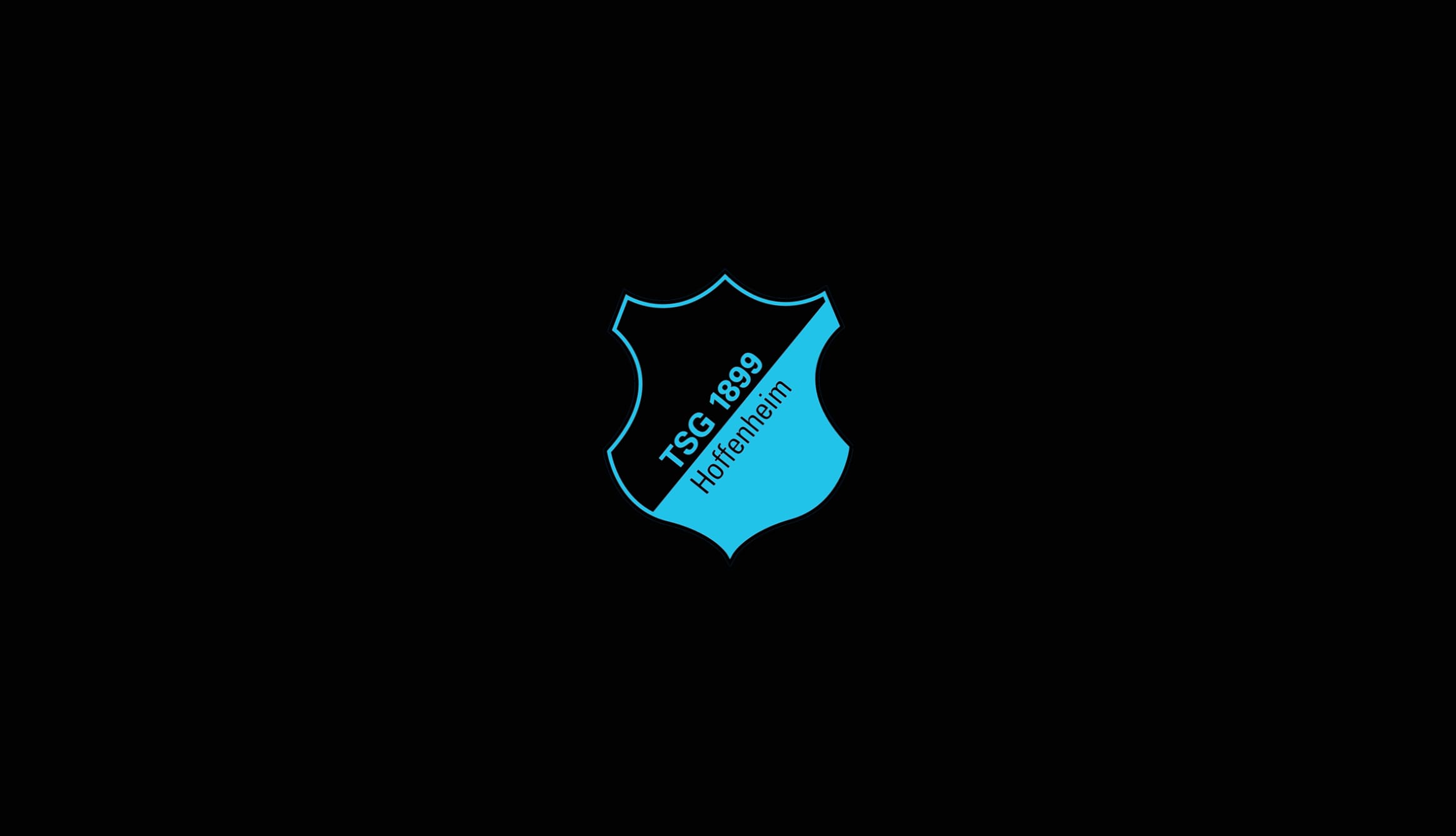 Symbol Crest Emblem Logo Soccer TSG 1899 Hoffenheim Sports wallpapers HD quality