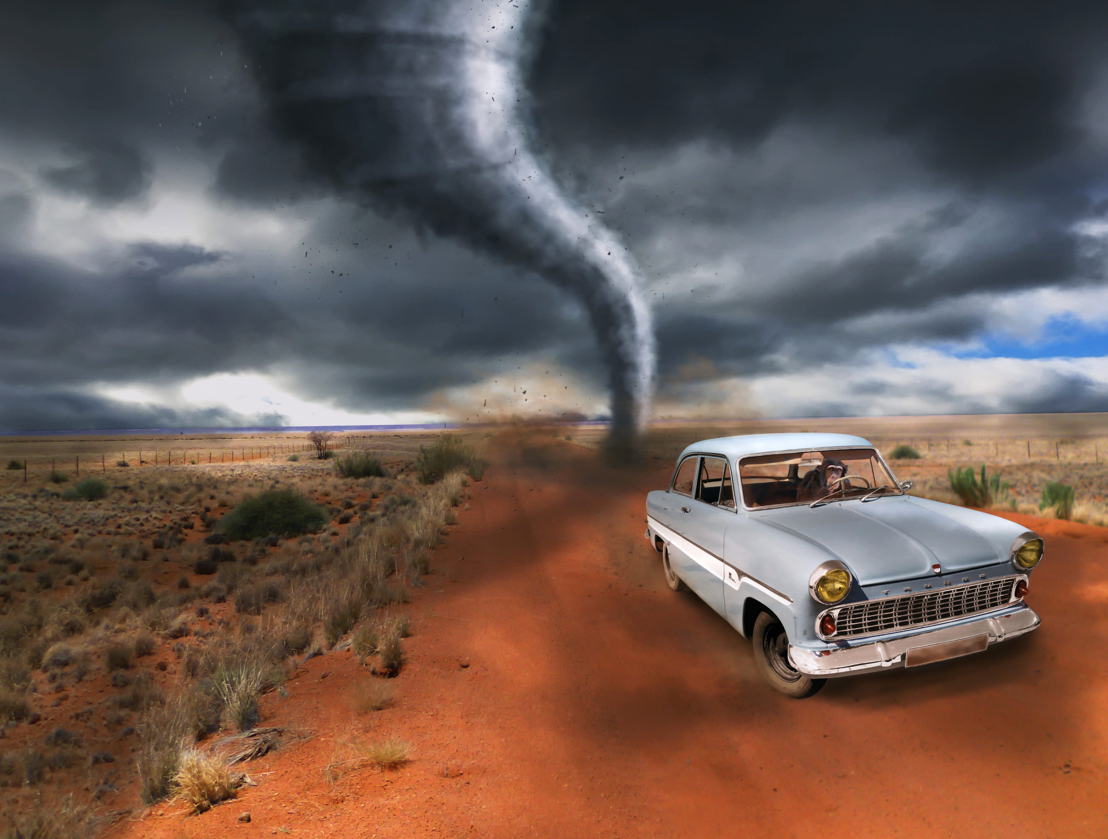 Tornado Chimpanzee Monkey Car Photography Manipulation wallpapers HD quality