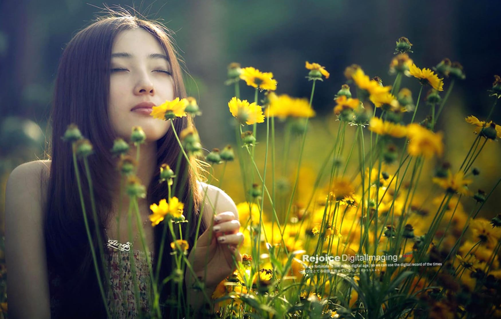 Tranquil Beauty Asian Woman Amidst Blossoms wallpapers HD quality