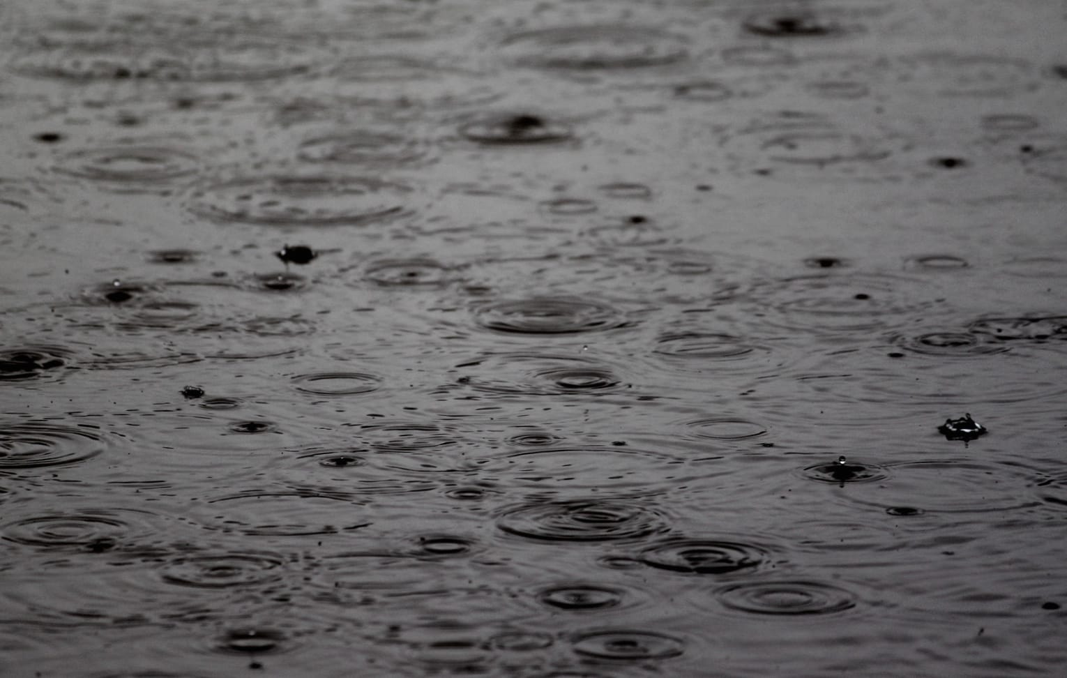 Tranquil Black & White Rain Drops wallpapers HD quality