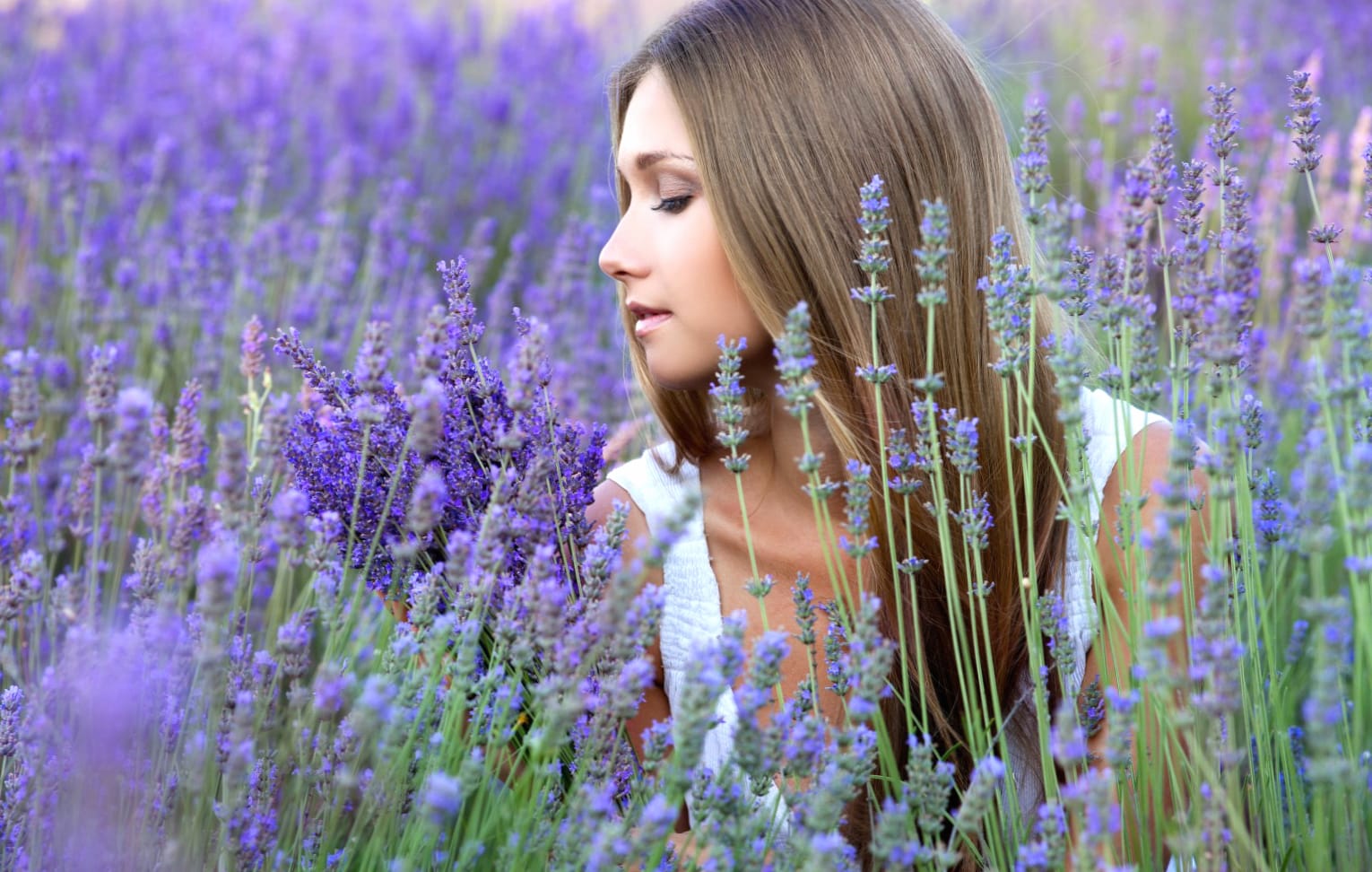 Tranquil Woman in Lavender Field - at 640 x 960 iPhone 4 size wallpapers HD quality