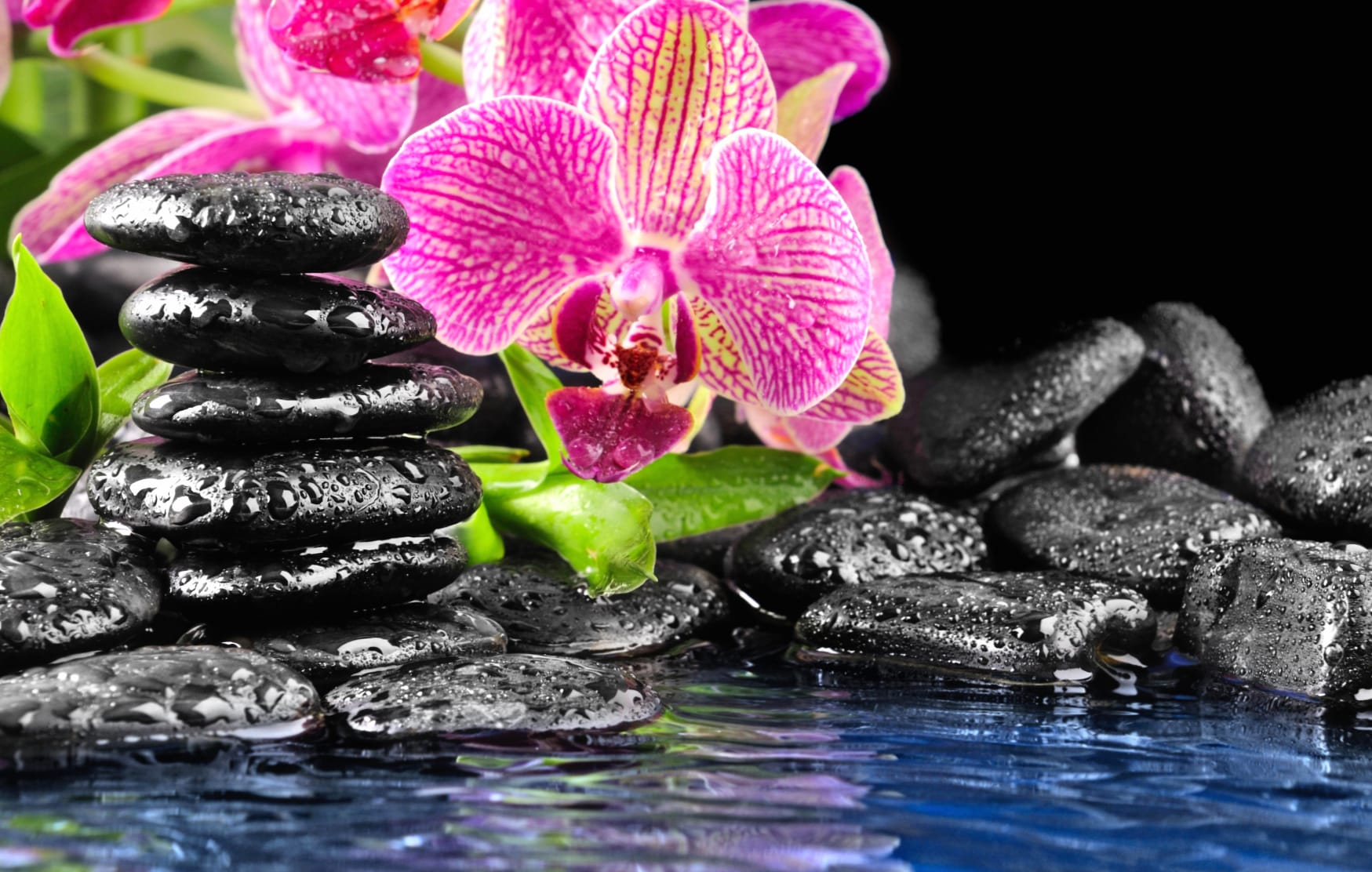 Tranquil Zen A Stunning of Serenity at 1920 x 1080 HD size wallpapers HD quality