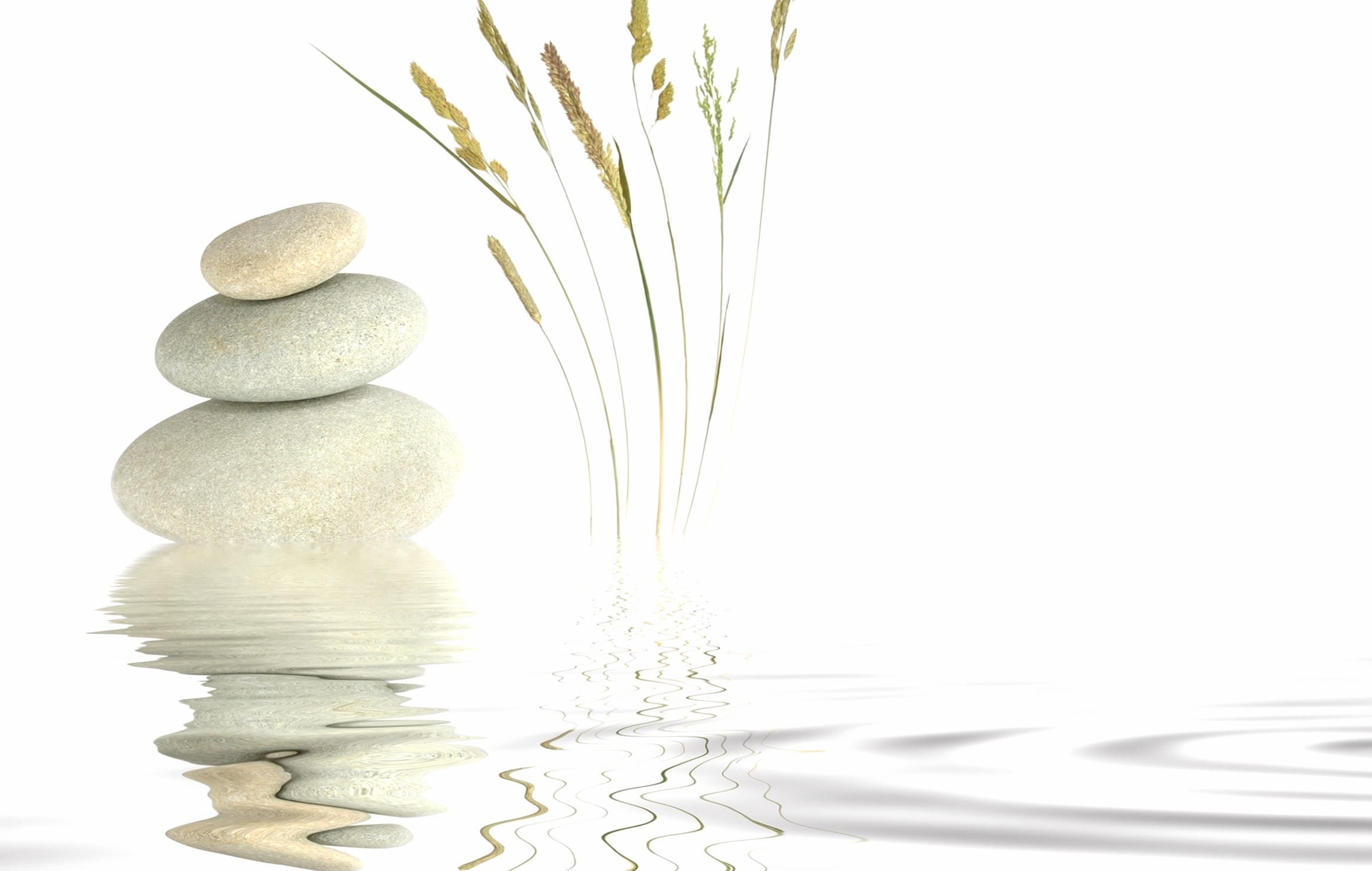 Tranquil Zen of Serenity and Reflection wallpapers HD quality