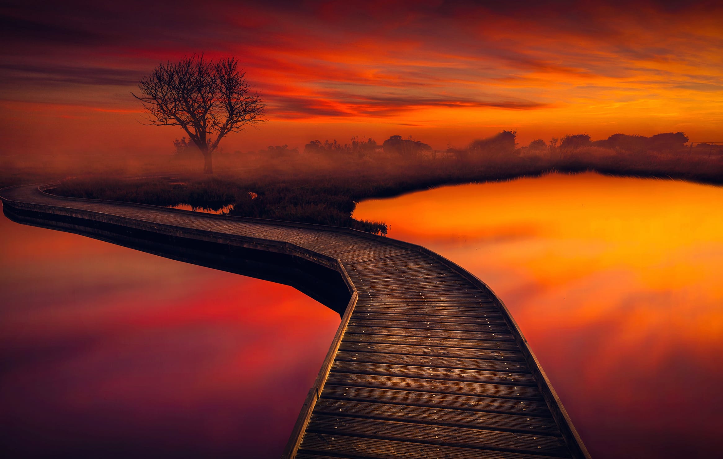 Tree Path Pier Orange (Color) Photography Sunset wallpapers HD quality