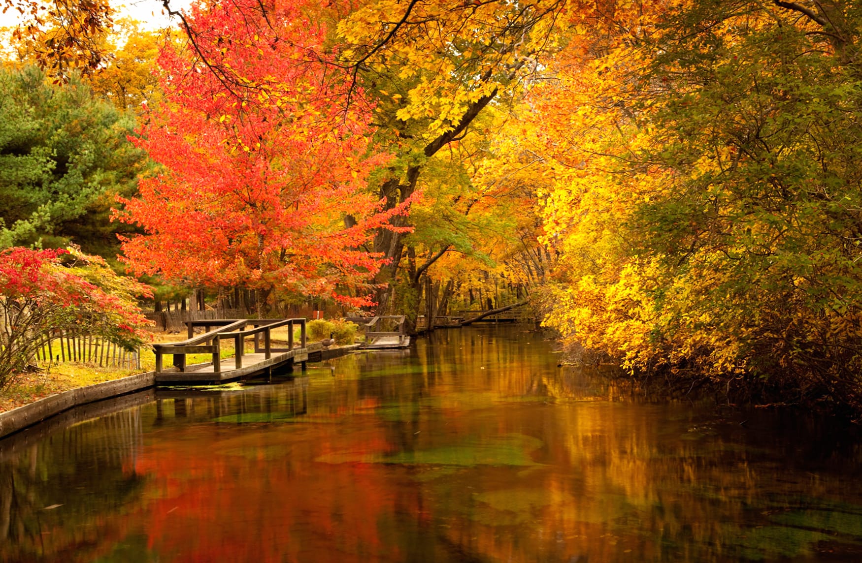 Tree Pond Fall Photography Park wallpapers HD quality