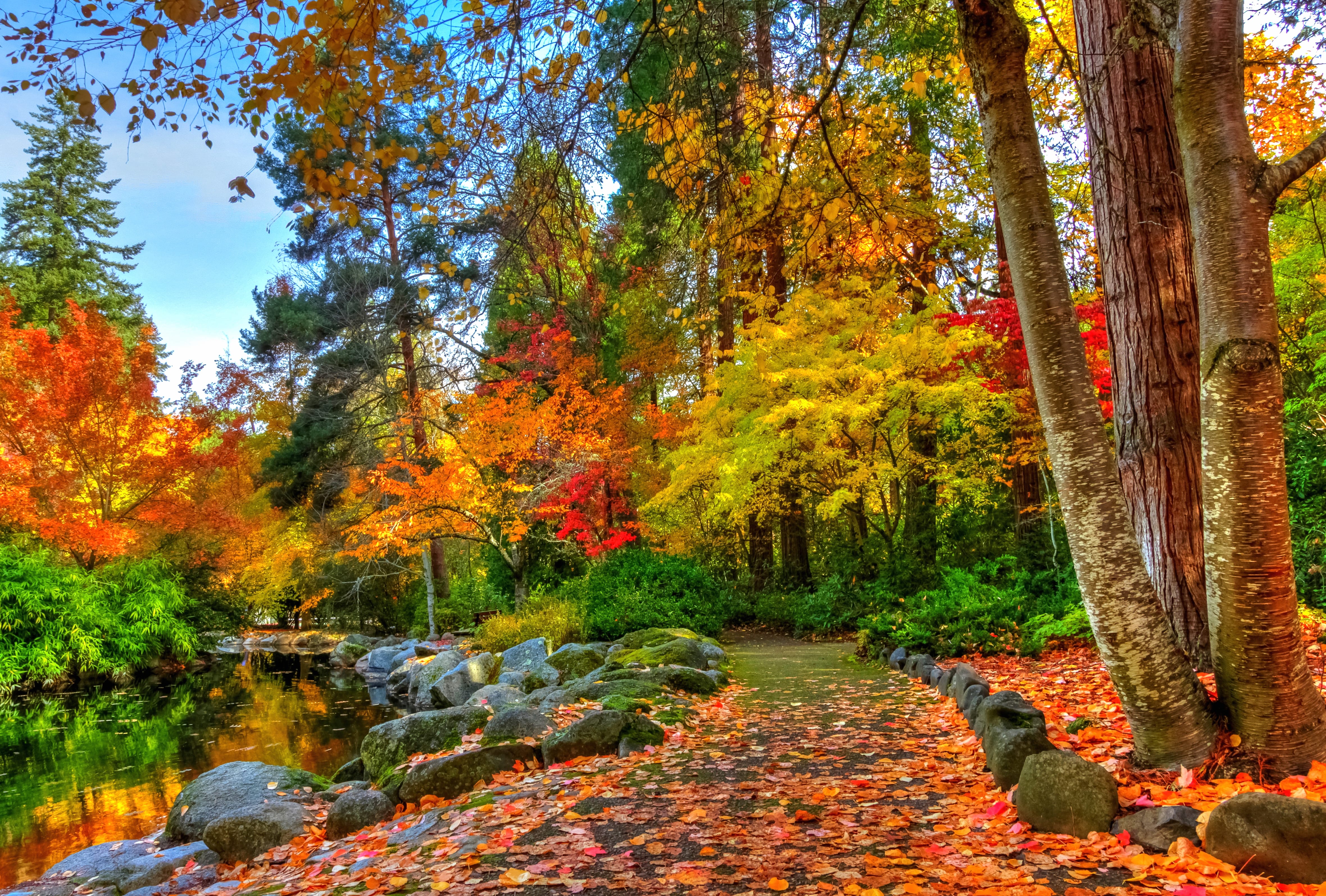 Tree Pond Path Fall Photography Park at 1152 x 864 size wallpapers HD quality