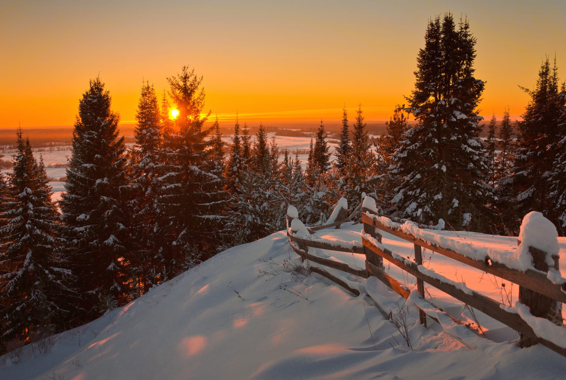 Tree Sunset Fence Snow Field Nature Earth Photography Winter wallpapers HD quality