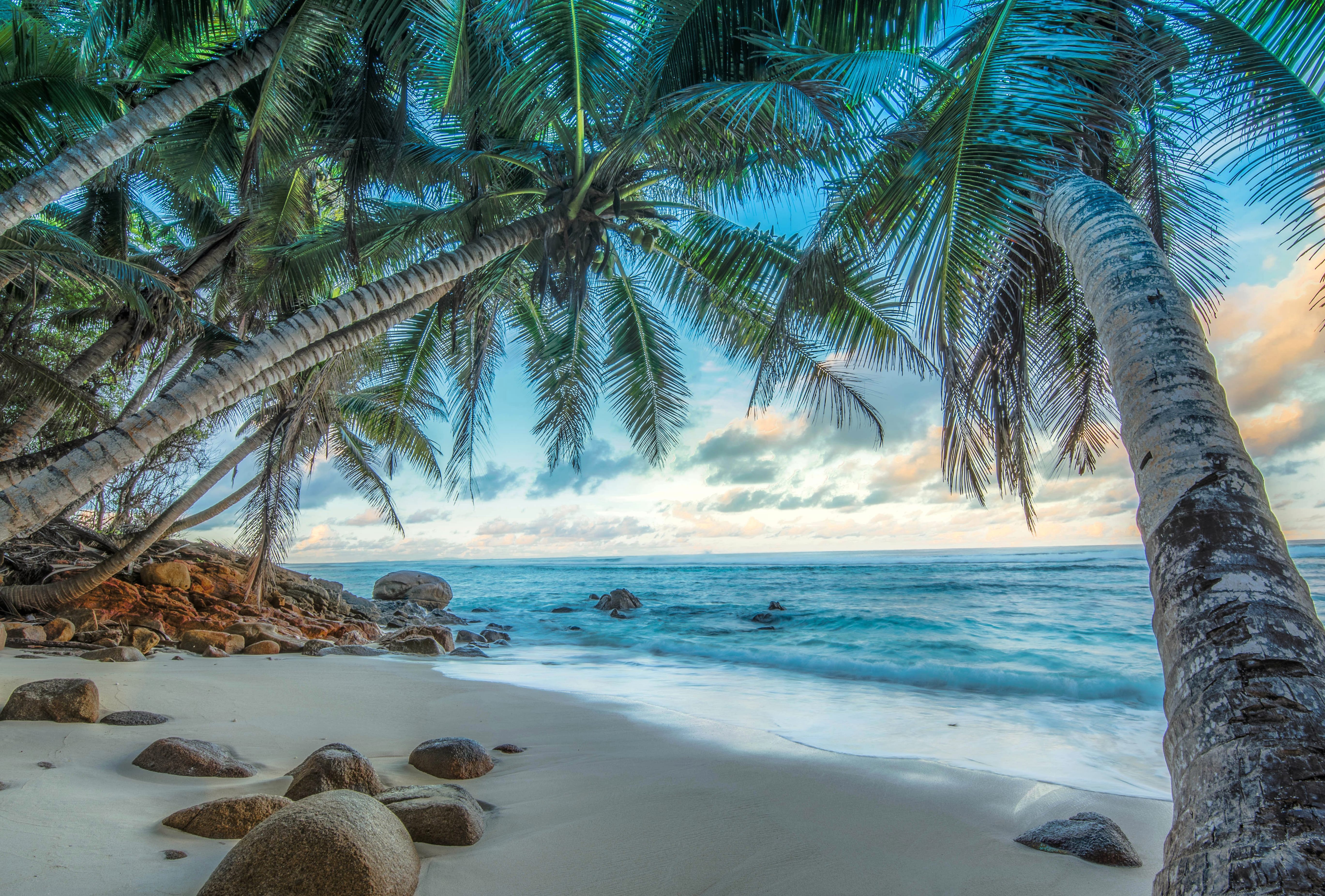 Tropical Beach Horizon - wallpapers HD quality