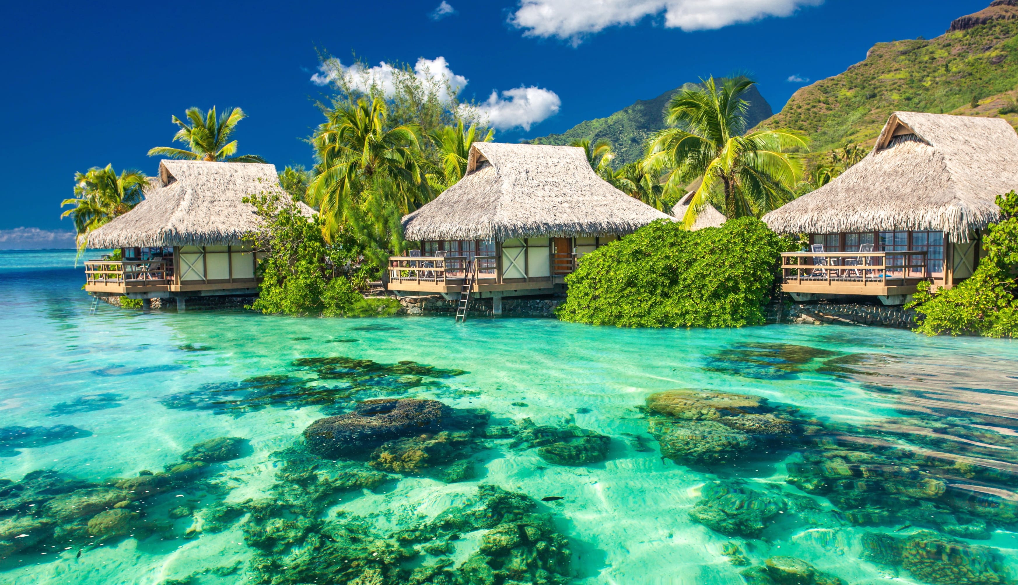 Tropical Lagoon Haven - at 2560 x 1440 HD size wallpapers HD quality