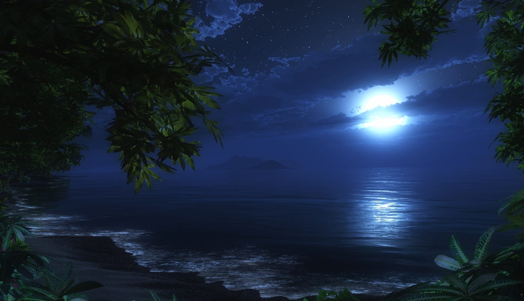 Tropical Night Serenity at 320 x 480 iPhone size wallpapers HD quality