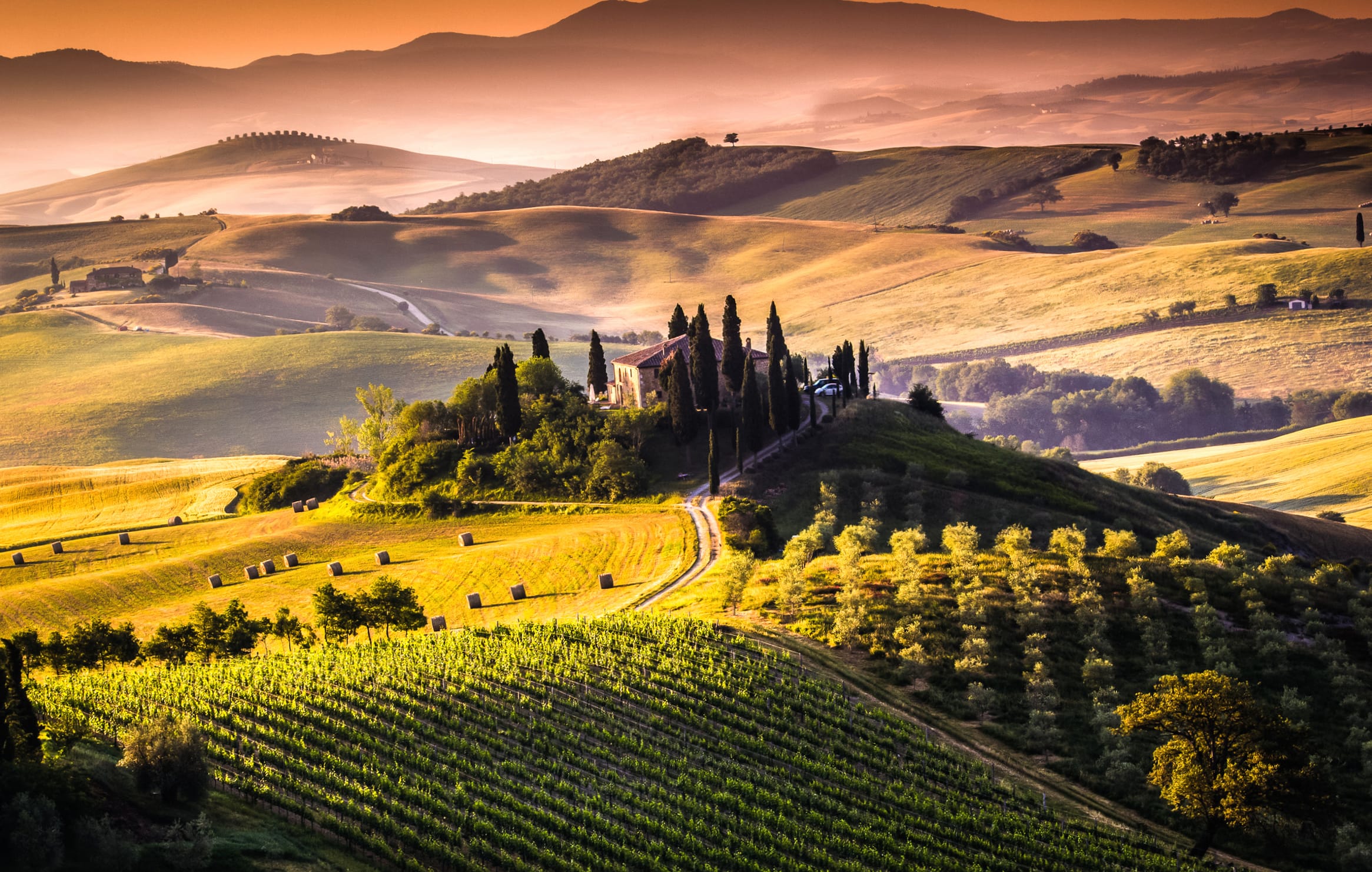 Tuscany Dreamscape Stunning of Scenic Vineyards at 640 x 960 iPhone 4 size wallpapers HD quality