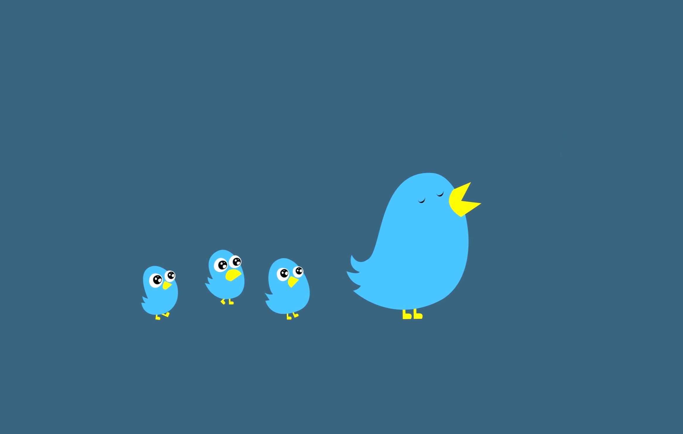 Twitter Bird Family wallpapers HD quality