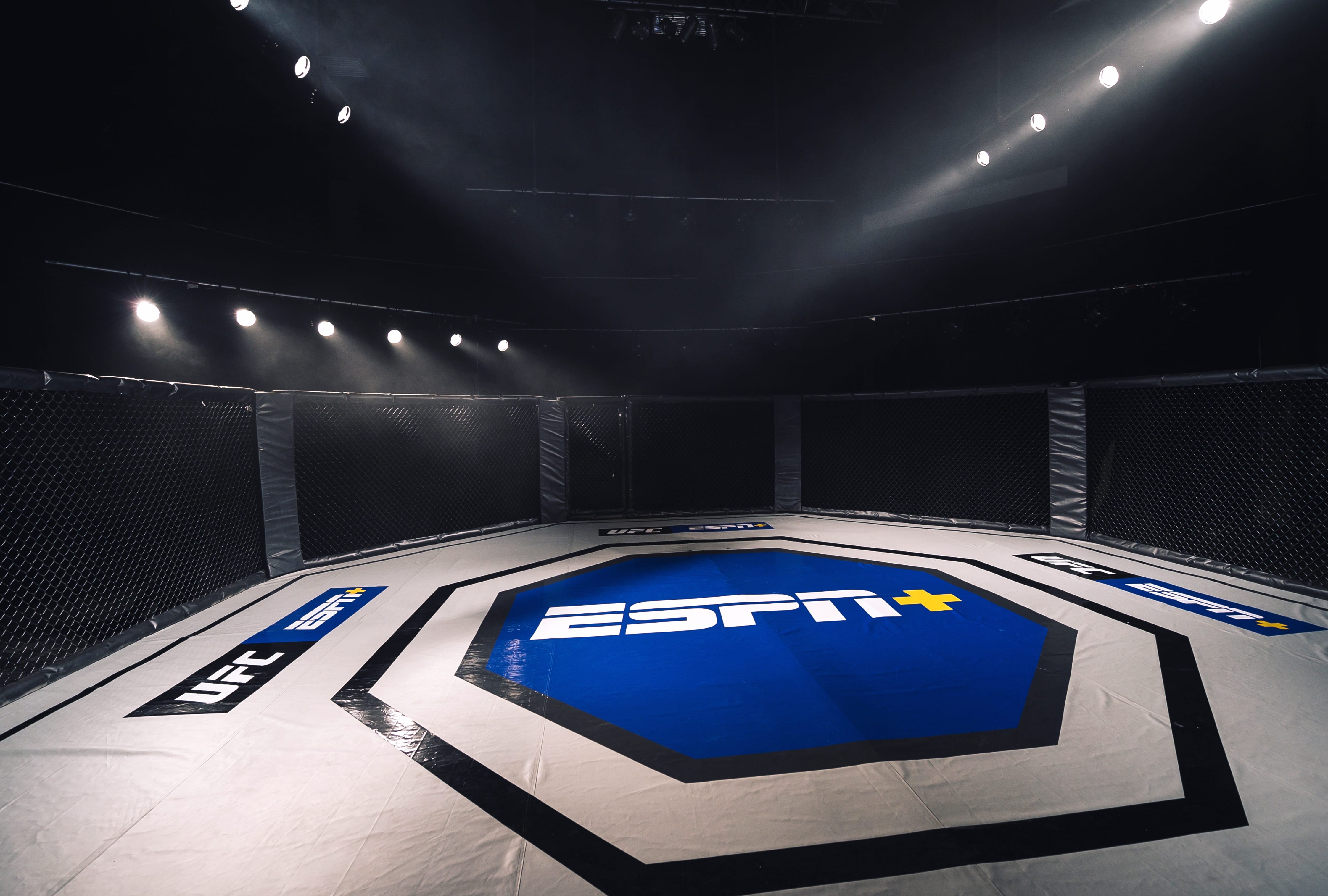 UFC Sports Arena wallpapers HD quality