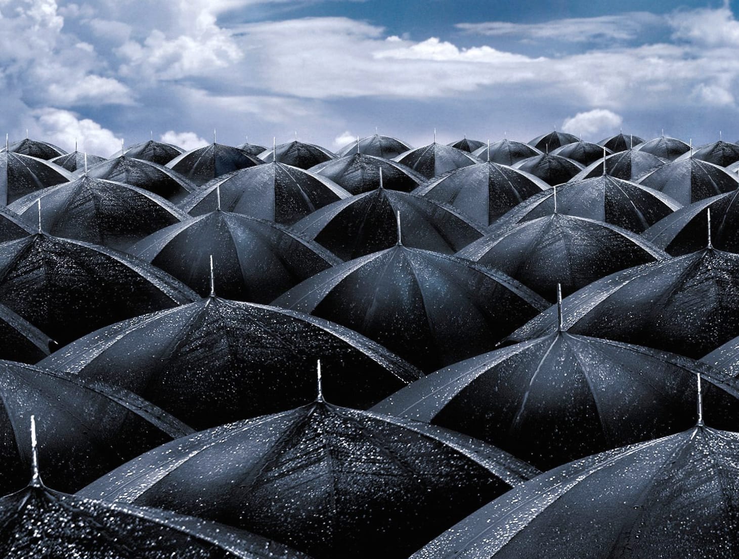 Umbrella Symphony in an Overcast Sky wallpapers HD quality