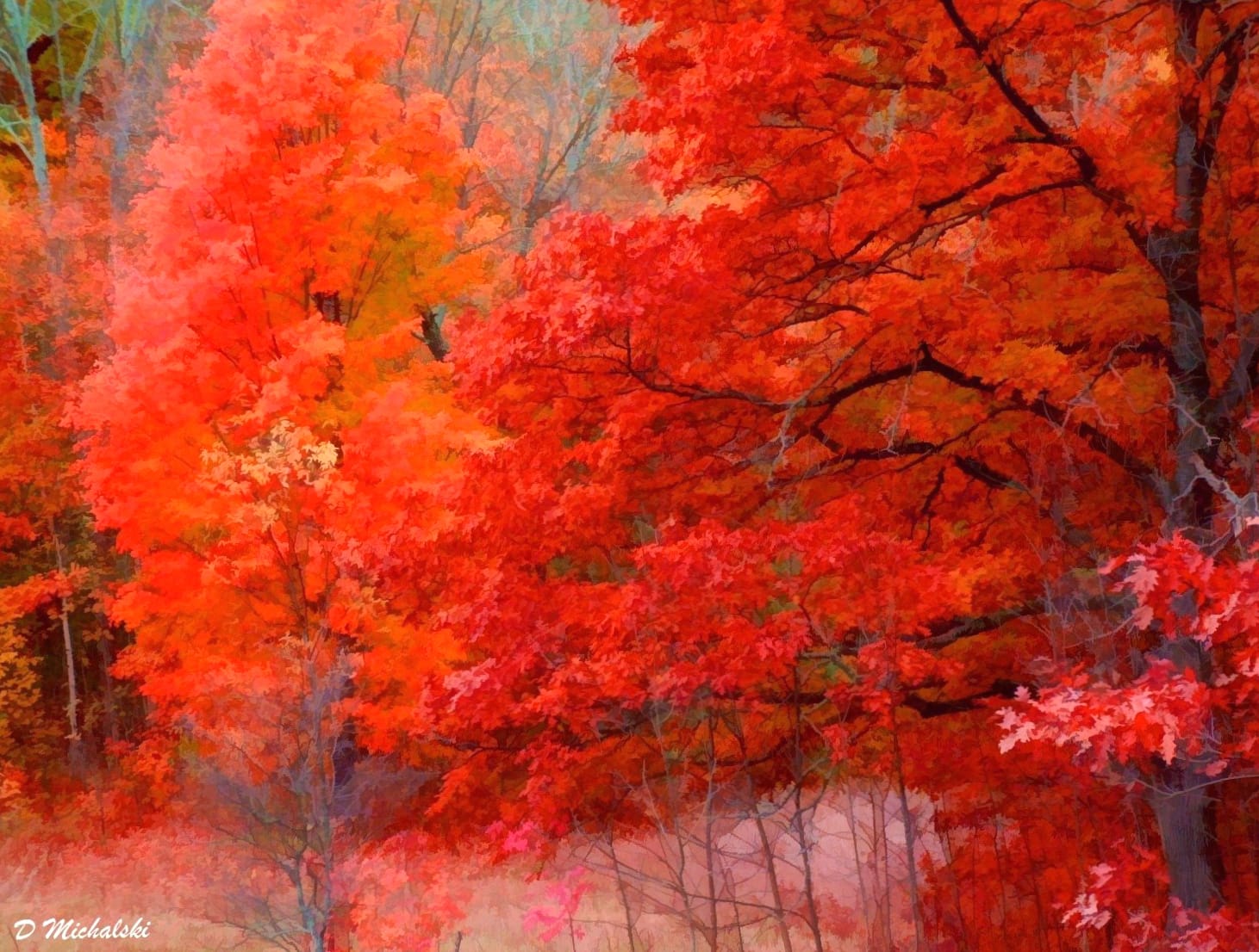 Vibrant Autumn Bliss wallpapers HD quality