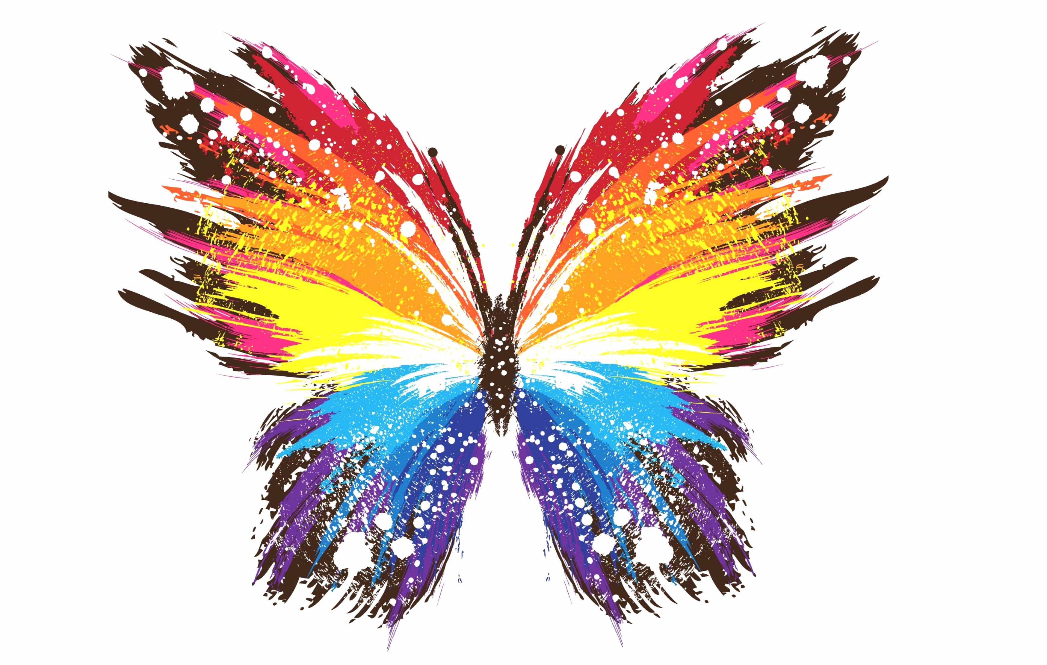 Vibrant Butterfly - wallpapers HD quality