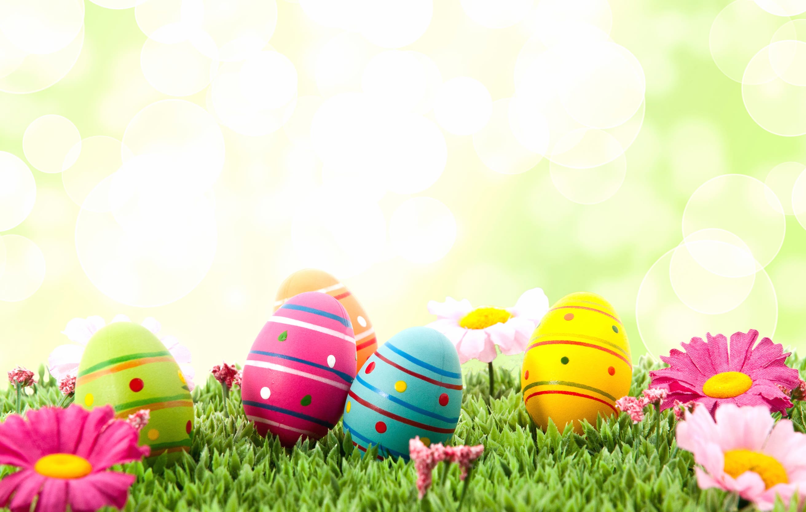 Vibrant Easter Eggs - for a Joyful Holiday wallpapers HD quality