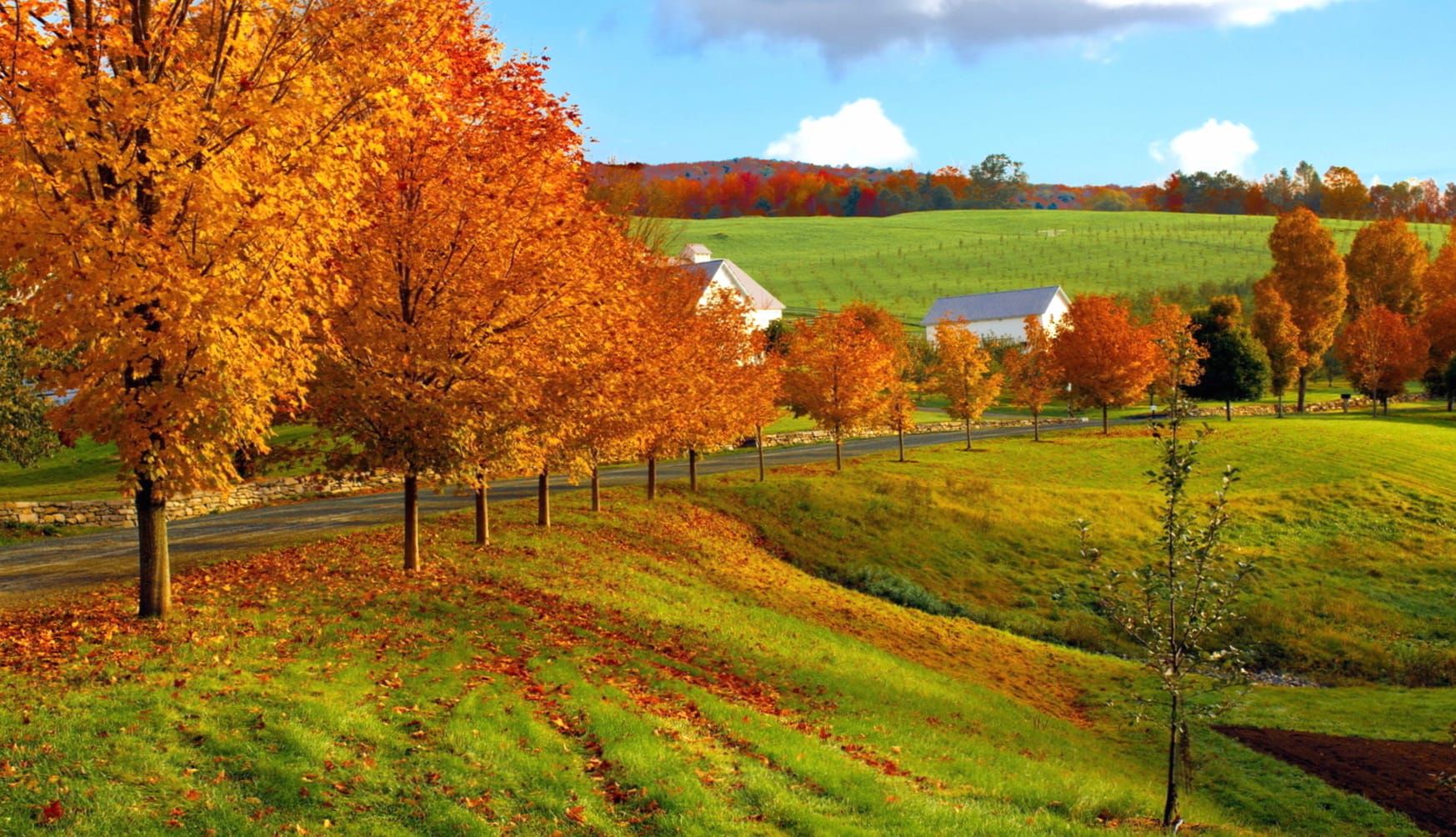 Vibrant Fall Landscape wallpapers HD quality