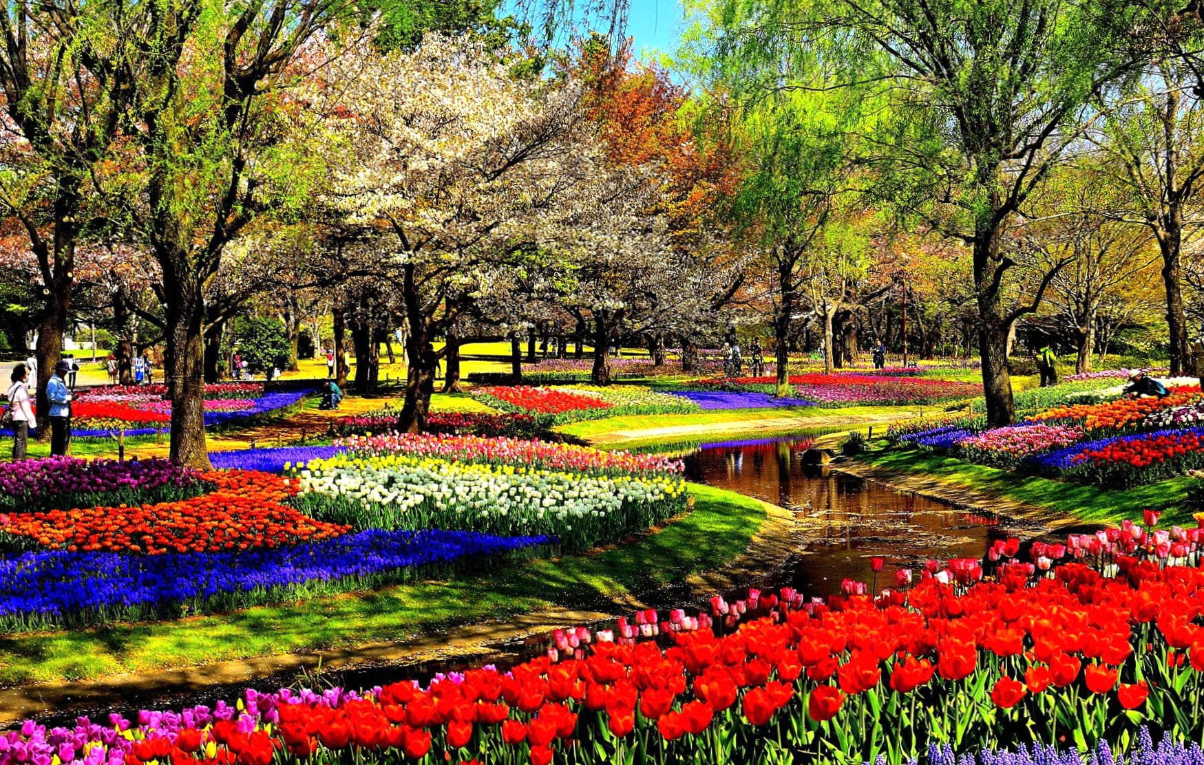 Vibrant Park Bliss Stunning at 1536 x 864 HD size wallpapers HD quality