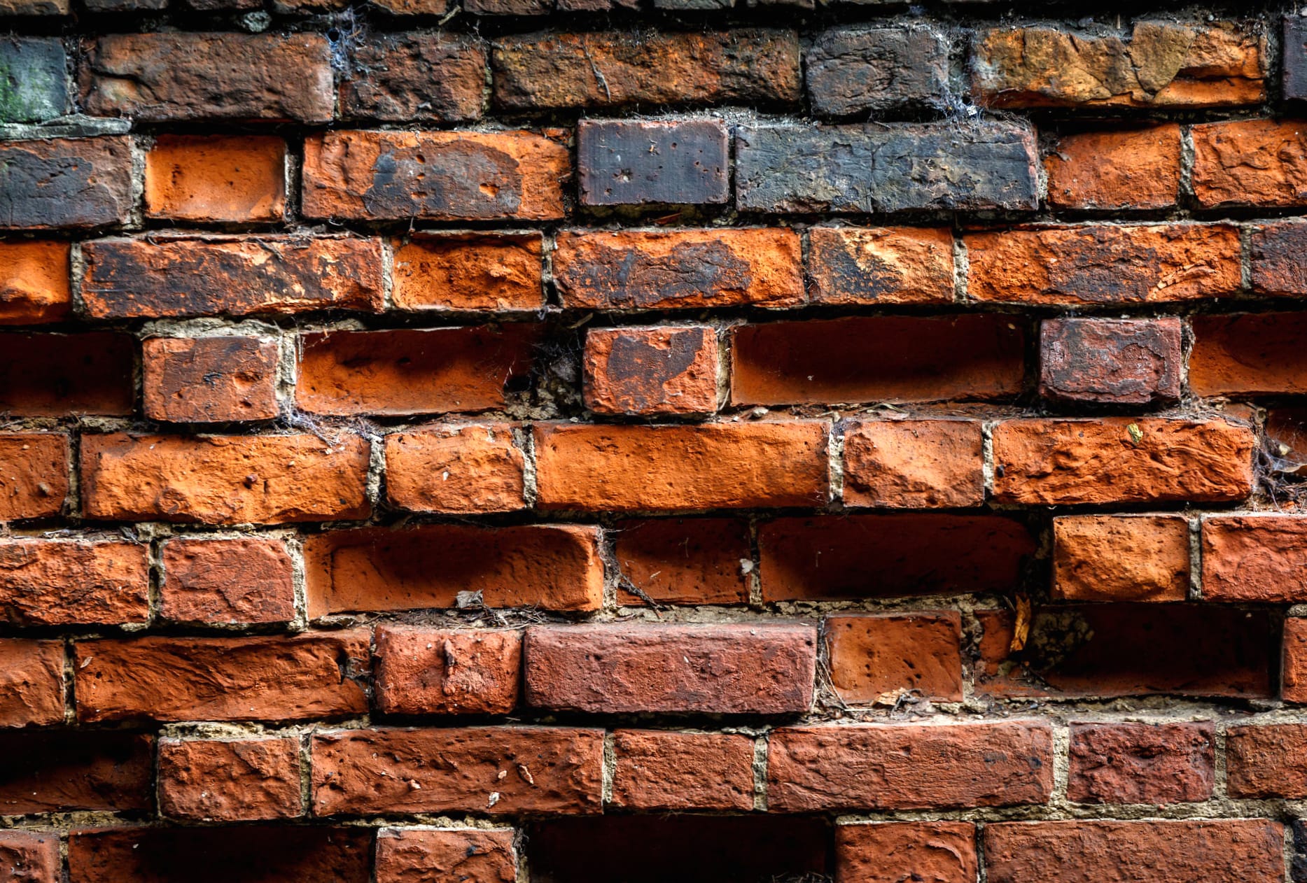 Wall Photography Brick at 1280 x 960 size wallpapers HD quality