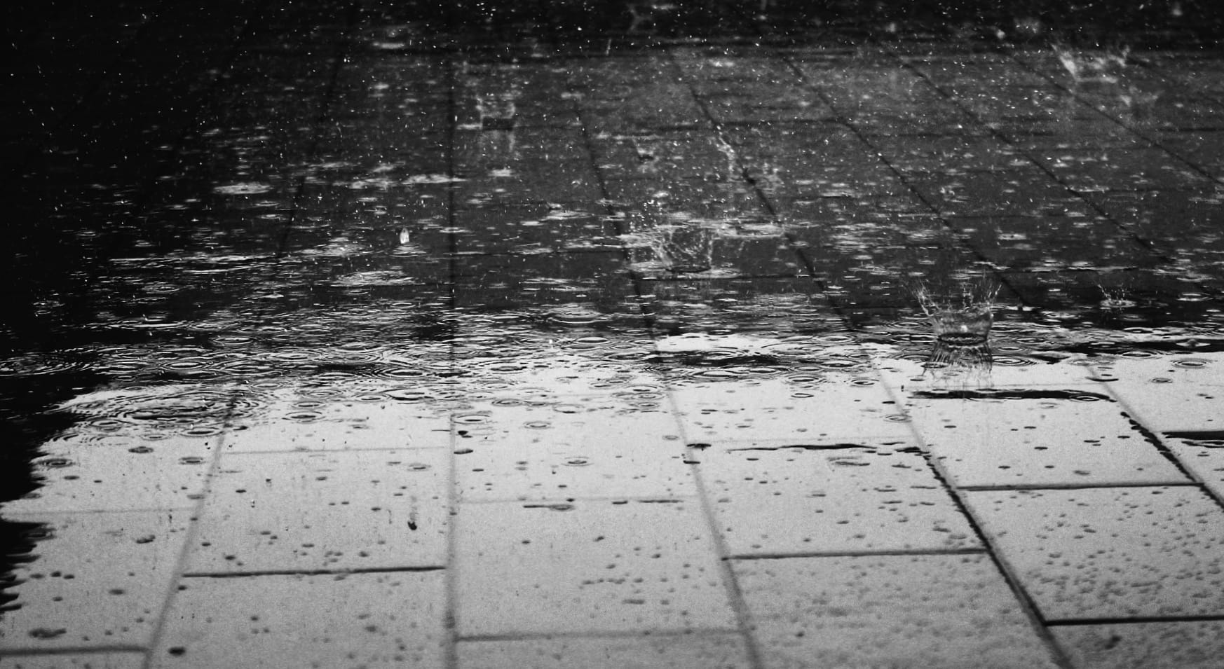 Water Water Drop Rain Photography Black & White Wallpaper wallpapers HD quality