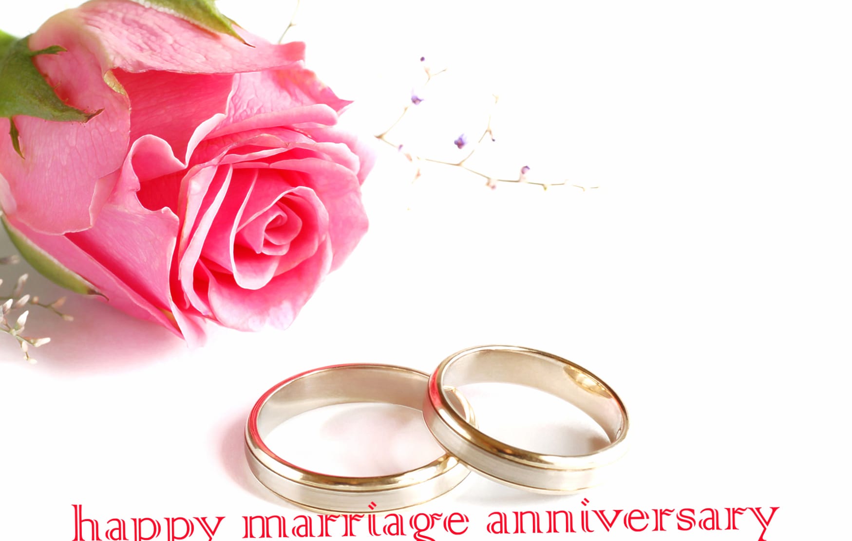 Wedding Rose Ring Holiday Anniversary wallpapers HD quality