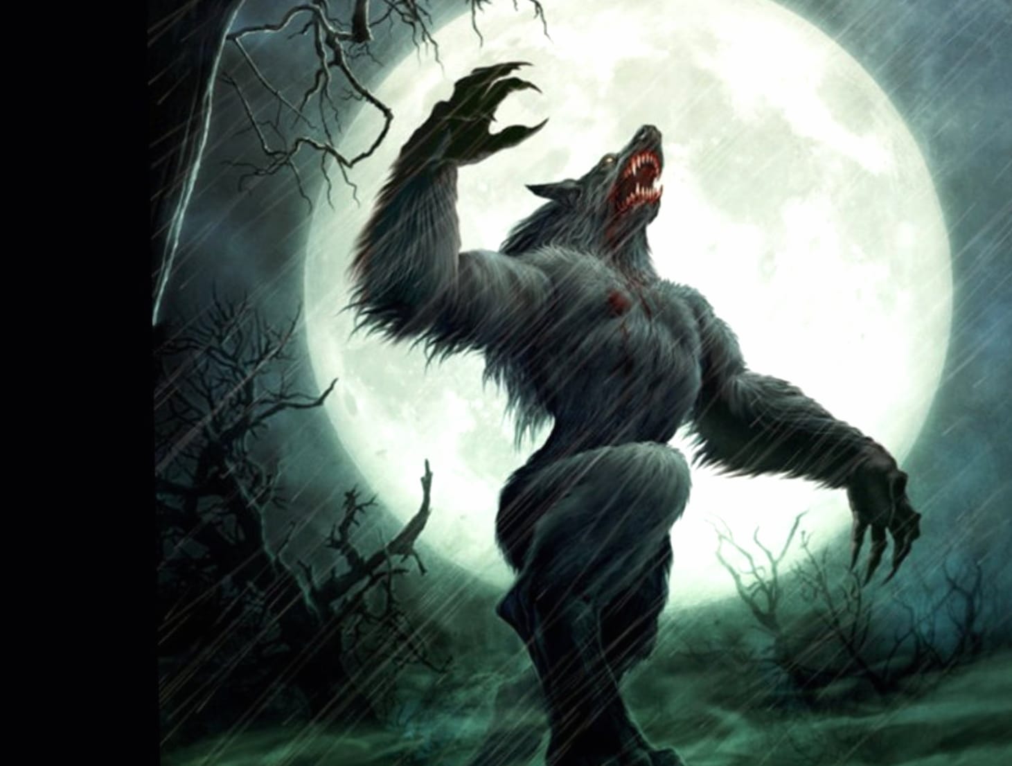 Werewolf Night wallpapers HD quality