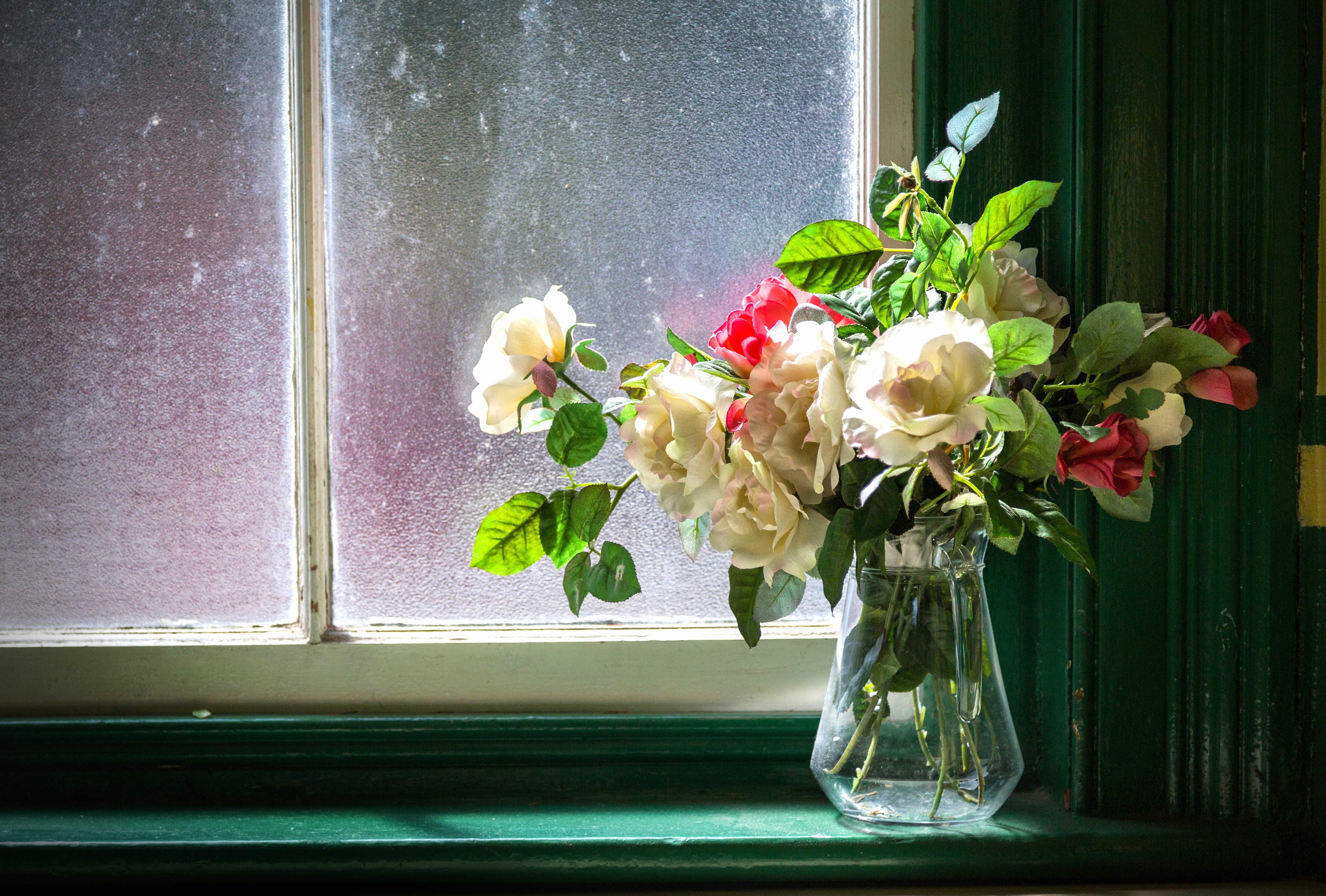 White Flower Window Vase Flower Photography Still Life at 2048 x 2048 iPad size wallpapers HD quality