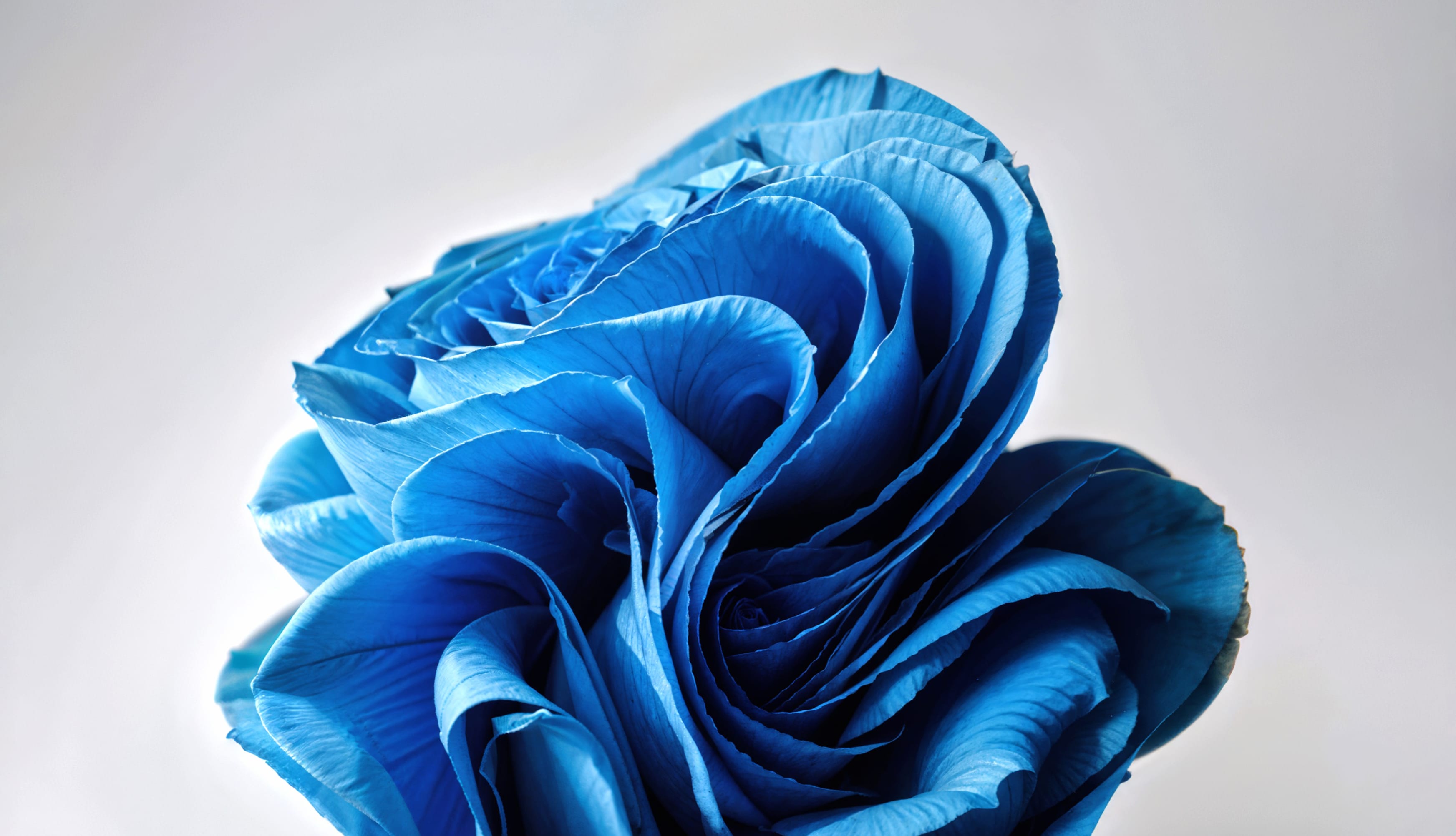 Windows 11 Paper Art wallpapers HD Windows 11 Paper Art wallpapers HD quality