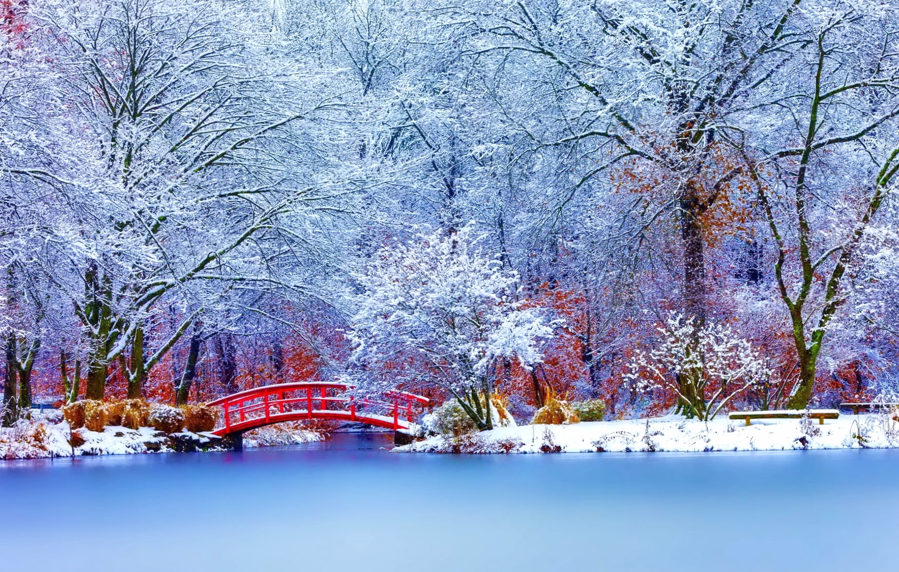 Winter Bride A Serene of a Snowy Lake and Trees wallpapers HD quality