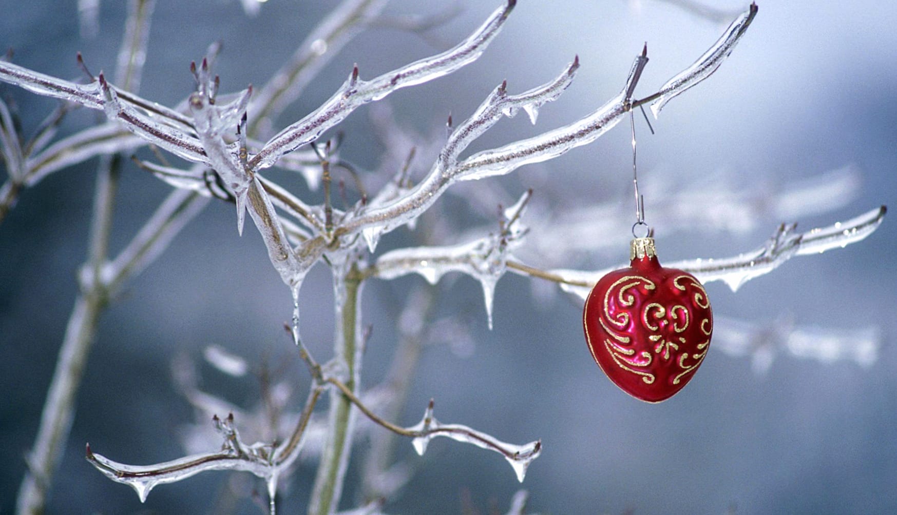 Winter Ice Frozen Christmas Ornaments Holiday Christmas wallpapers HD quality