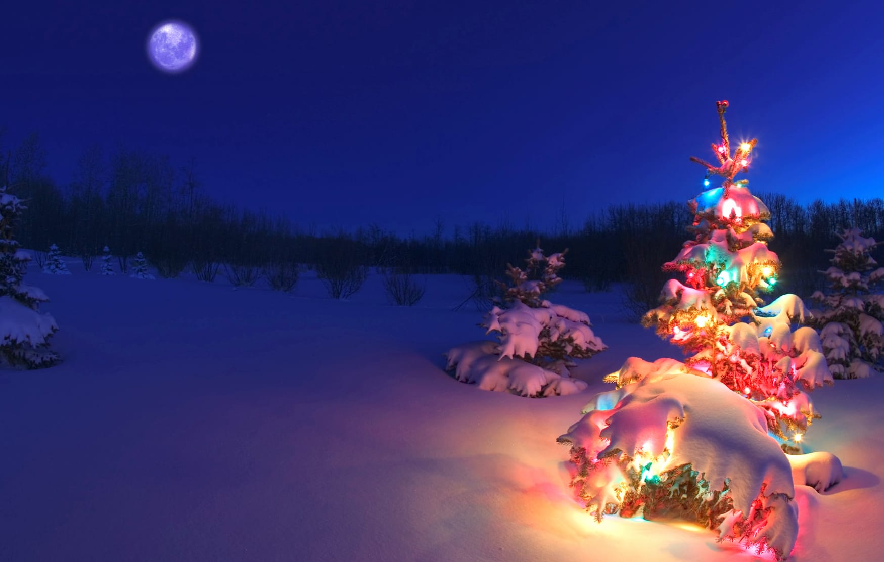 Winter Wonderland of a Festive Christmas Landscape wallpapers HD quality