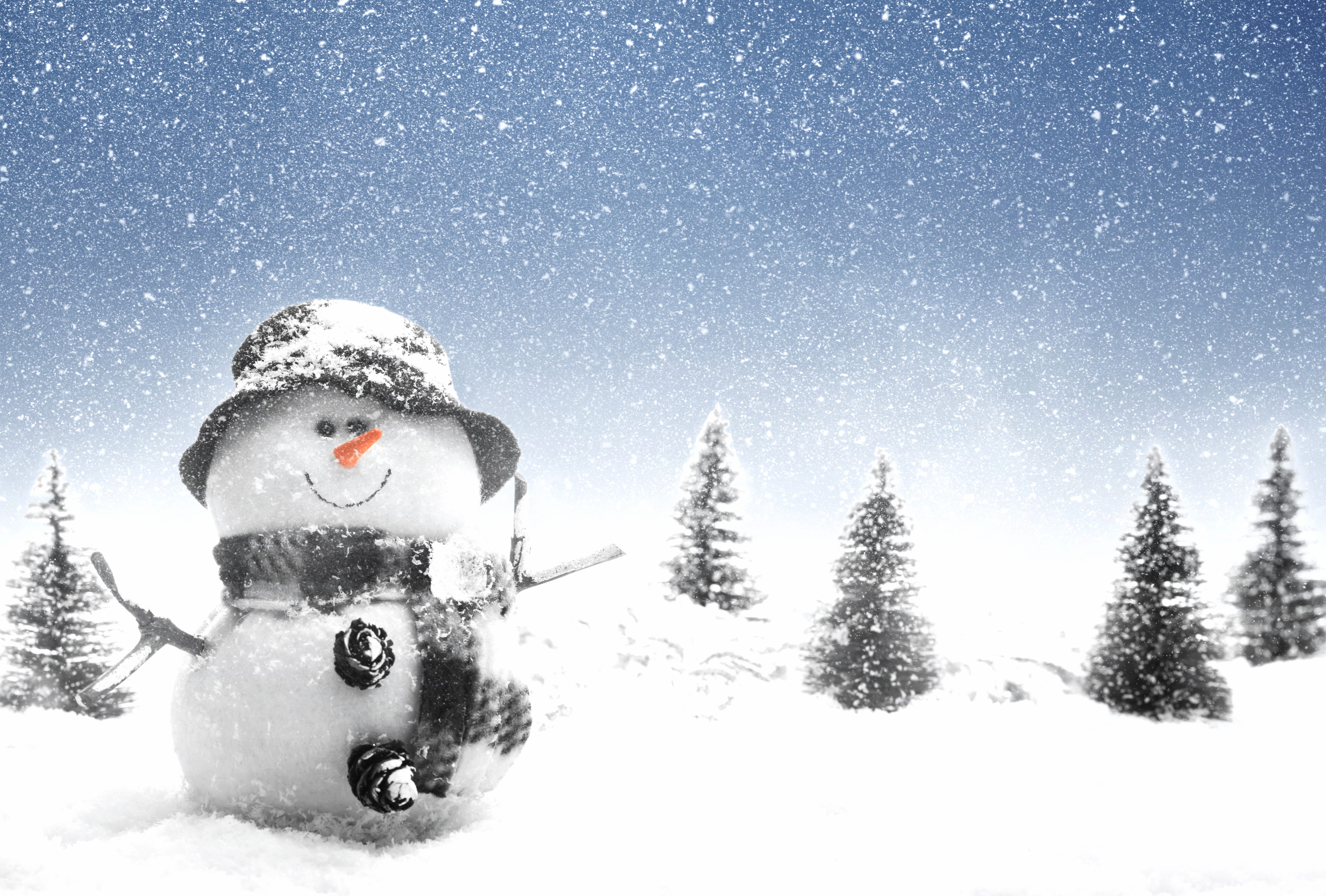 Winter Wonderland Snowman at 2048 x 2048 iPad size wallpapers HD quality