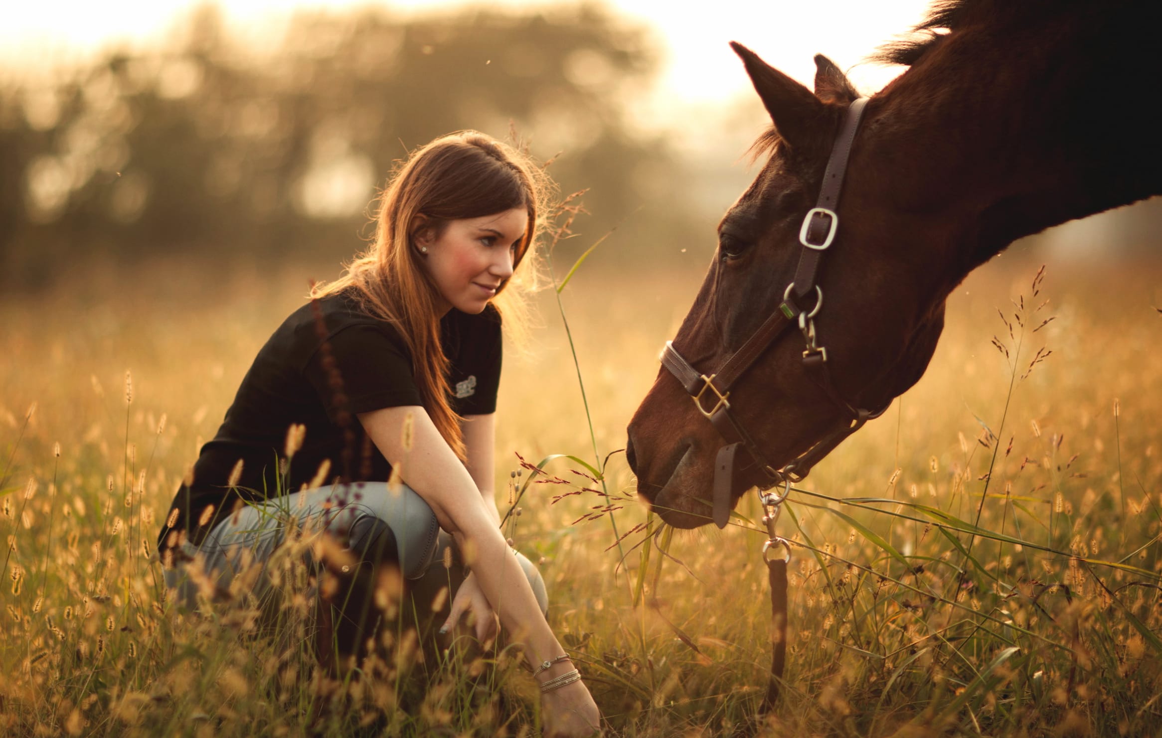 Woman and Horse at Sunset - wallpapers HD quality