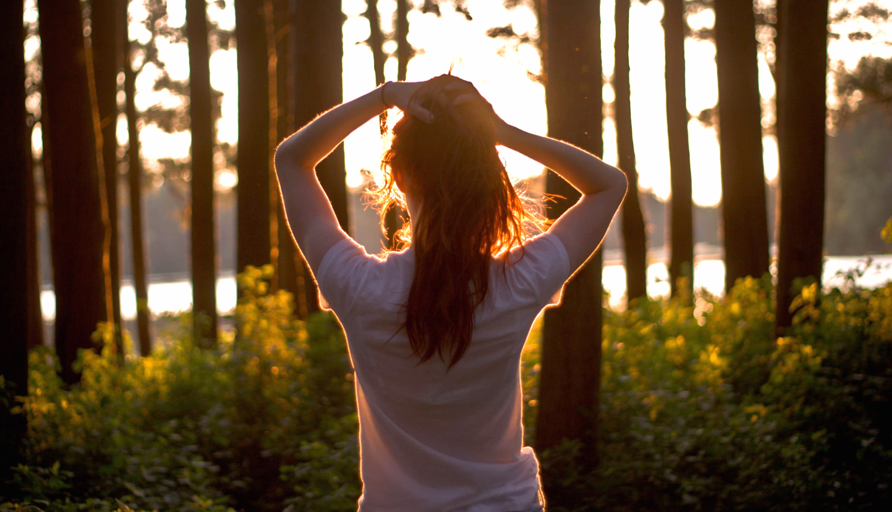 Woman in Forest Rear View - wallpapers HD quality