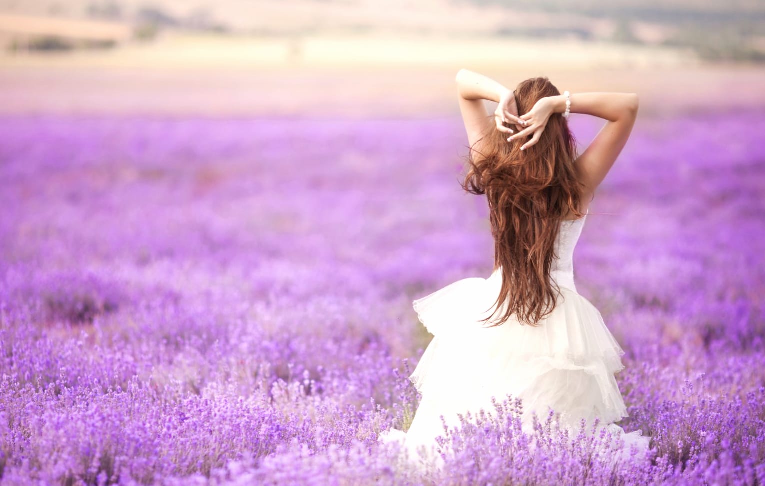 Woman in Lavender Field wallpapers HD quality